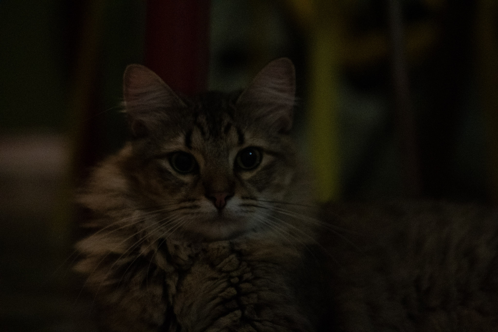 2020-12-28_Santa_Rita - foto 48