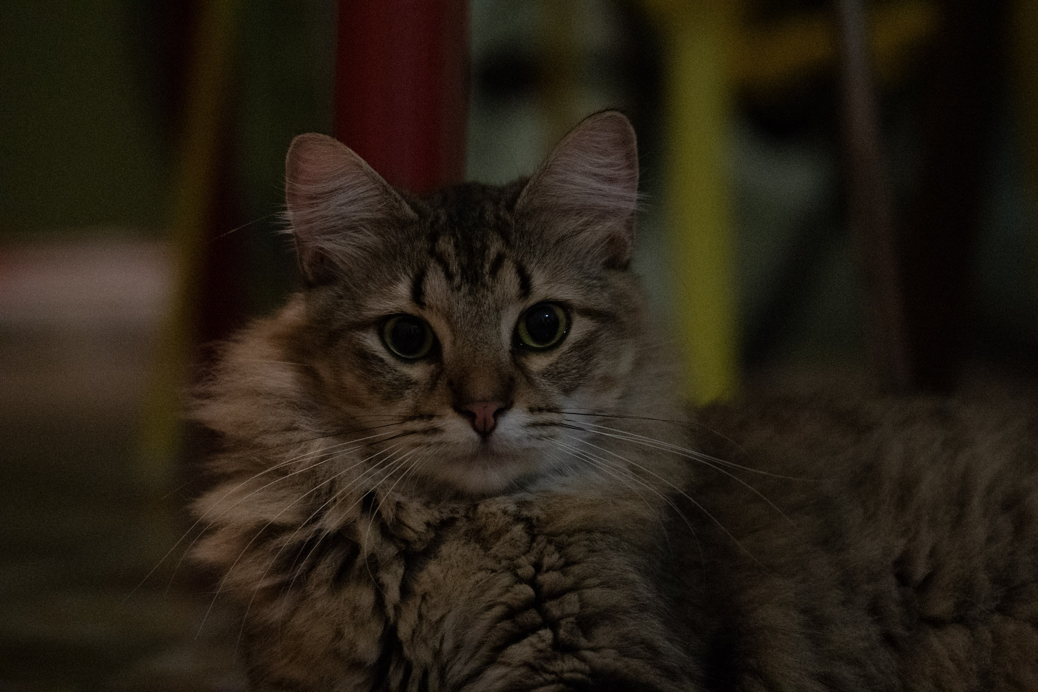 2020-12-28_Santa_Rita - foto 52