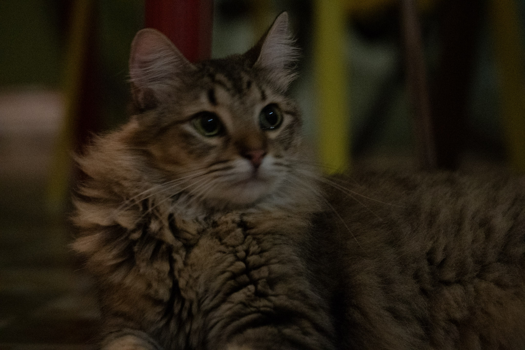 2020-12-28_Santa_Rita - foto 62