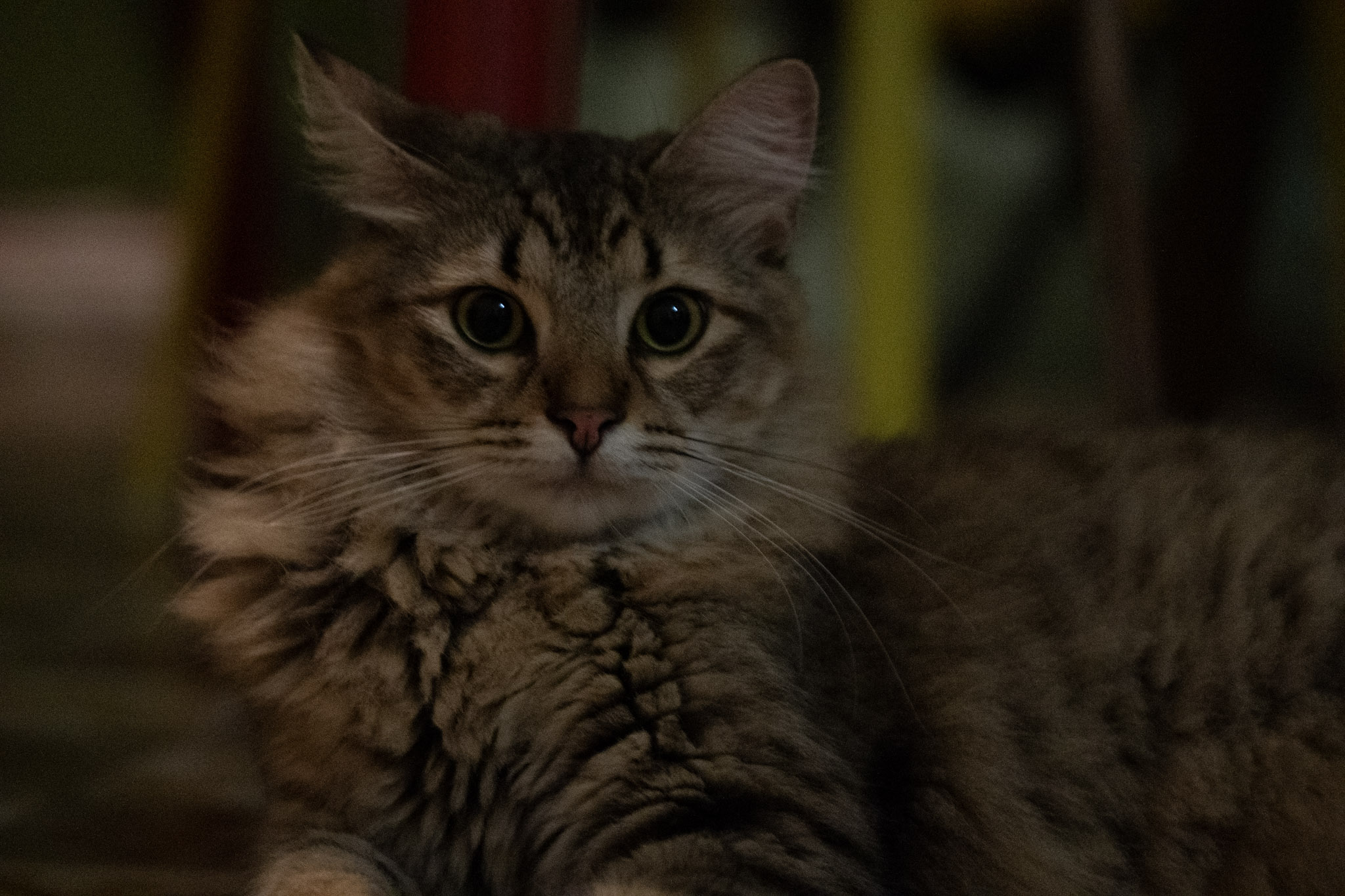 2020-12-28_Santa_Rita - foto 70