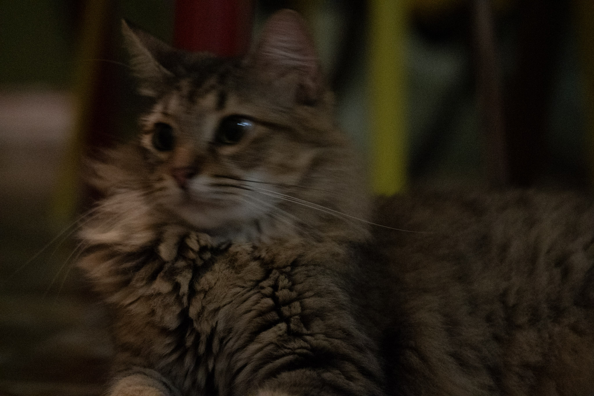 2020-12-28_Santa_Rita - foto 71