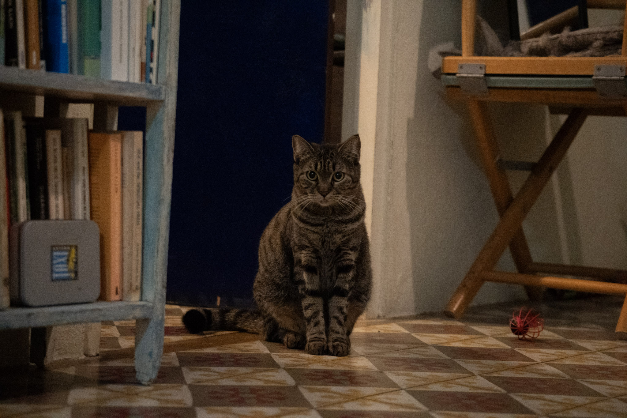 2020-12-28_Santa_Rita - foto 72