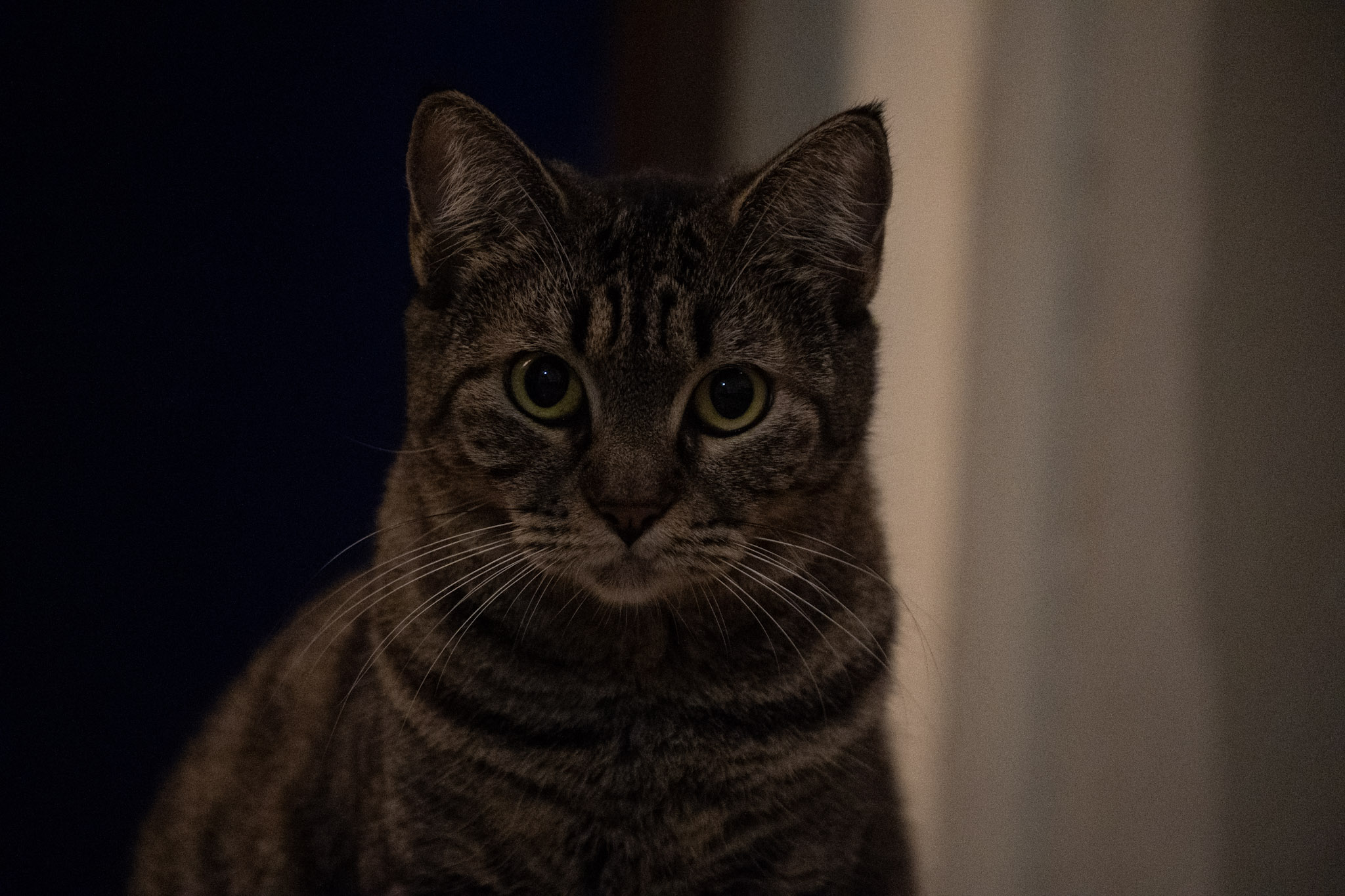 2020-12-28_Santa_Rita - foto 73