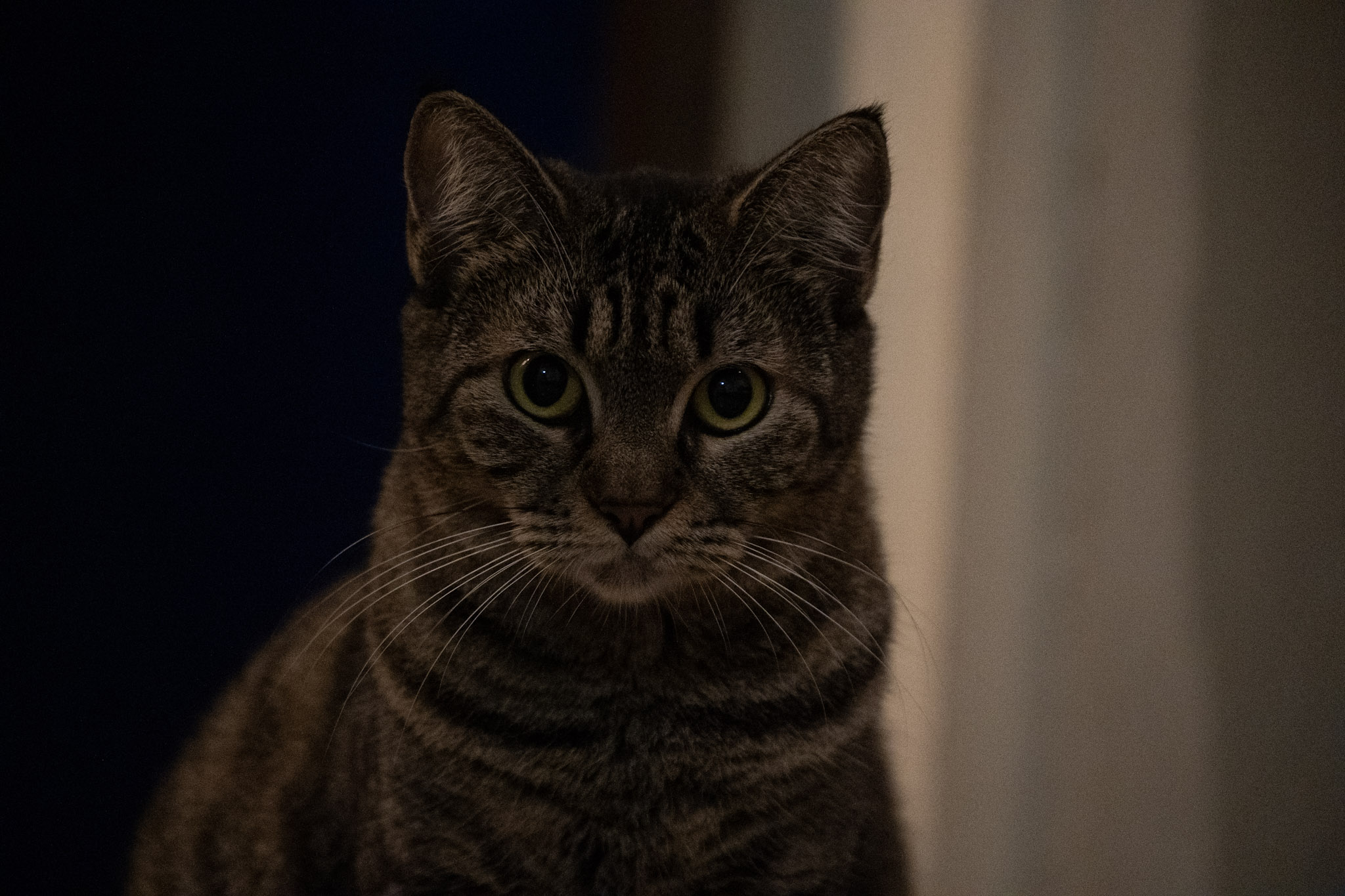 2020-12-28_Santa_Rita - foto 74