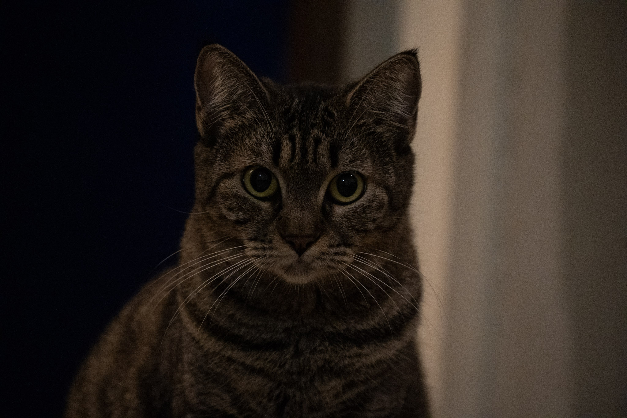 2020-12-28_Santa_Rita - foto 75