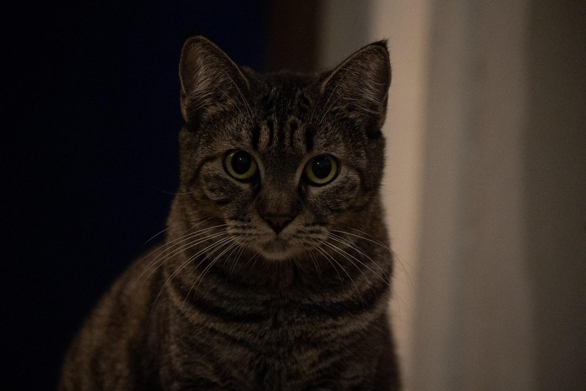 2020-12-28_Santa_Rita - foto 76