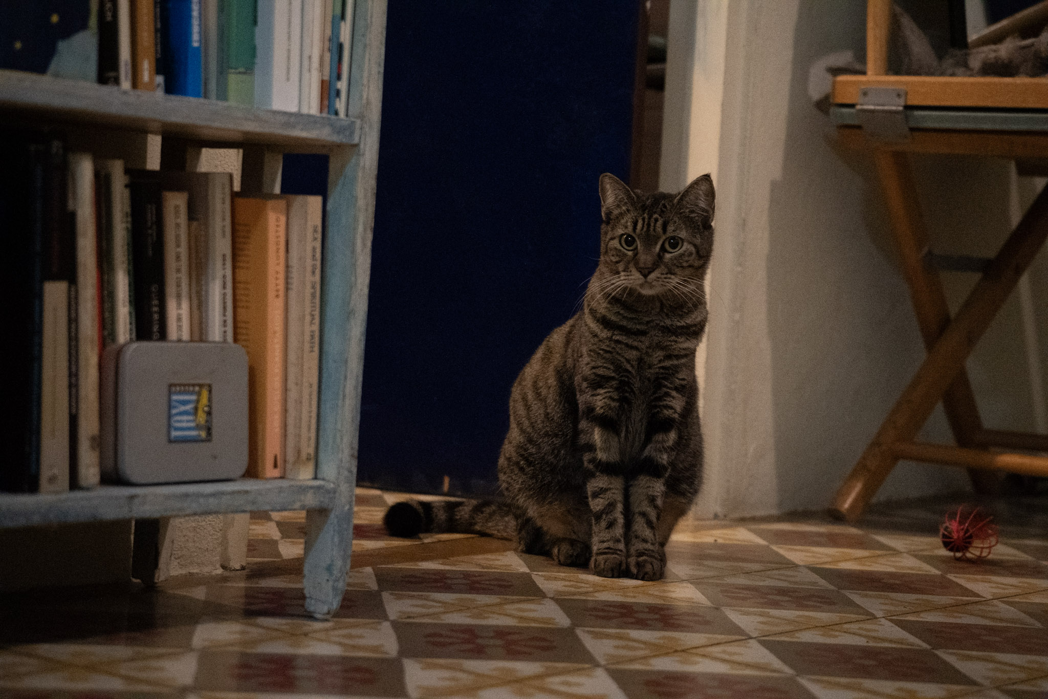 2020-12-28_Santa_Rita - foto 77