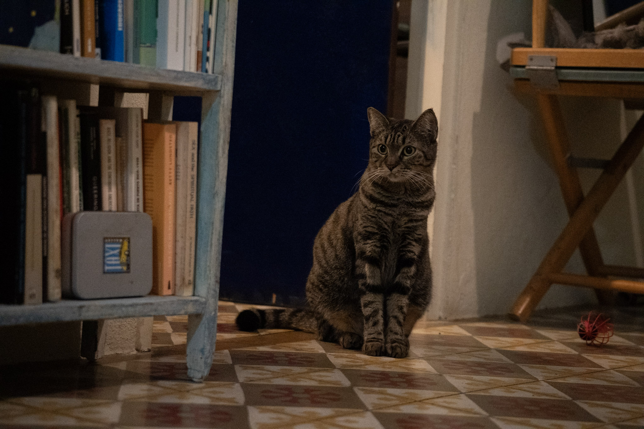 2020-12-28_Santa_Rita - foto 78