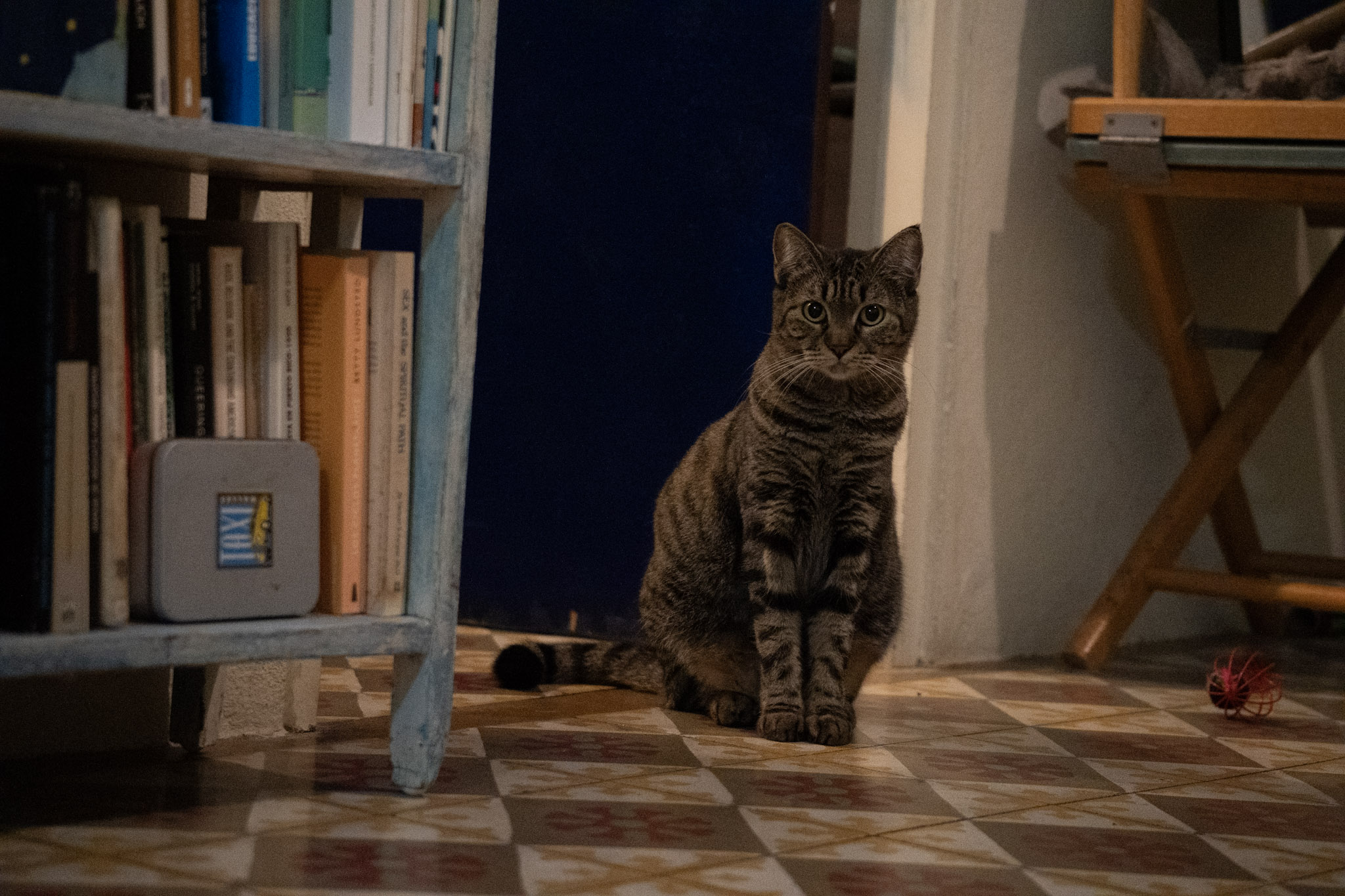 2020-12-28_Santa_Rita - foto 79