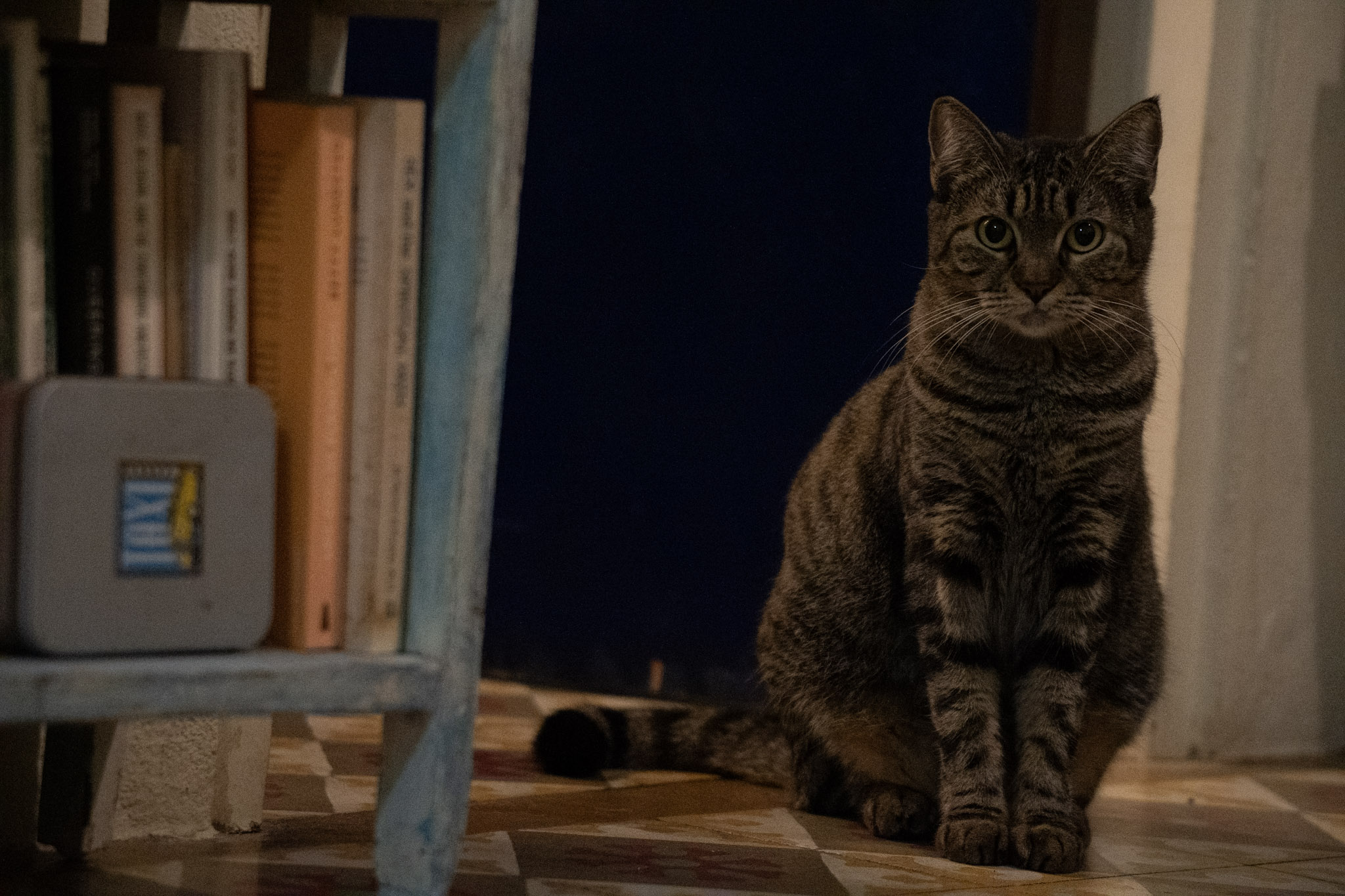 2020-12-28_Santa_Rita - foto 80