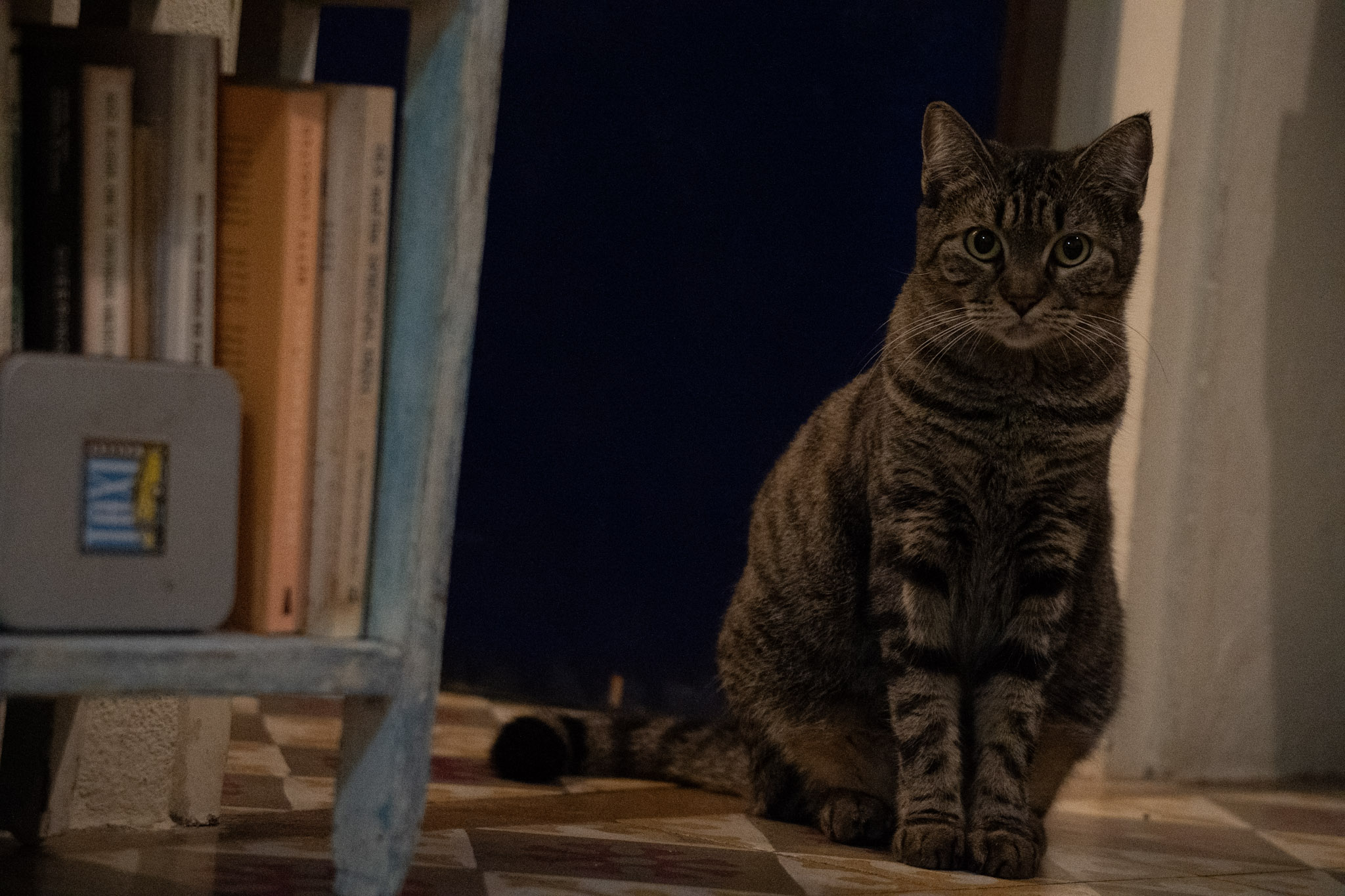 2020-12-28_Santa_Rita - foto 81