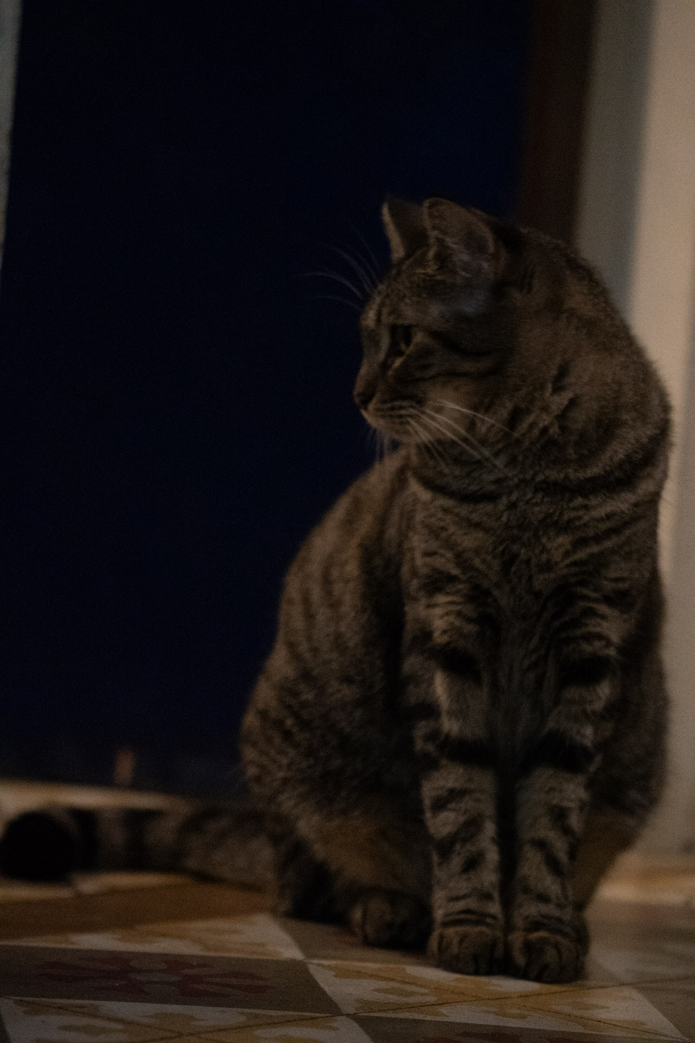 2020-12-28_Santa_Rita - foto 82