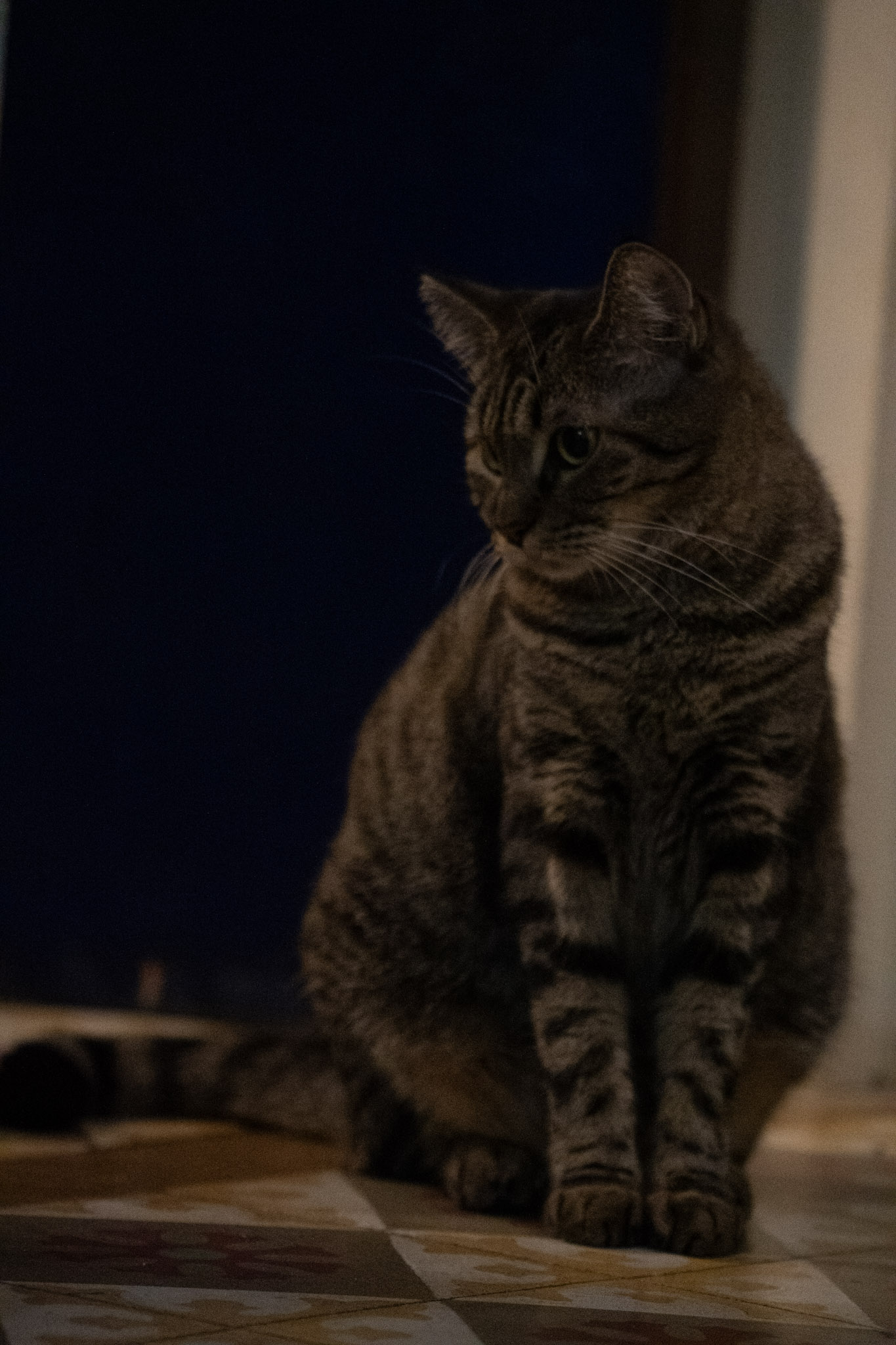 2020-12-28_Santa_Rita - foto 83