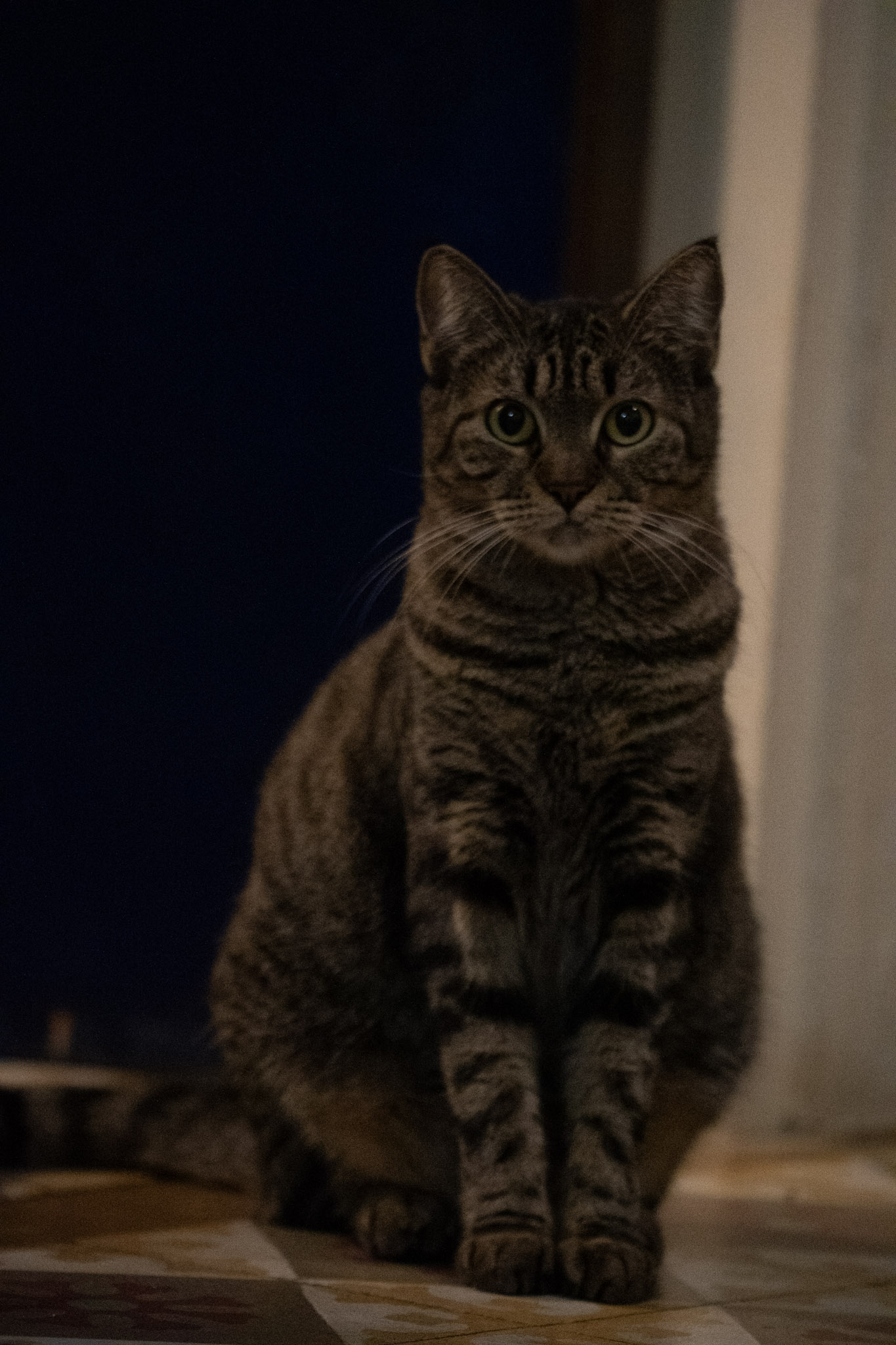 2020-12-28_Santa_Rita - foto 84