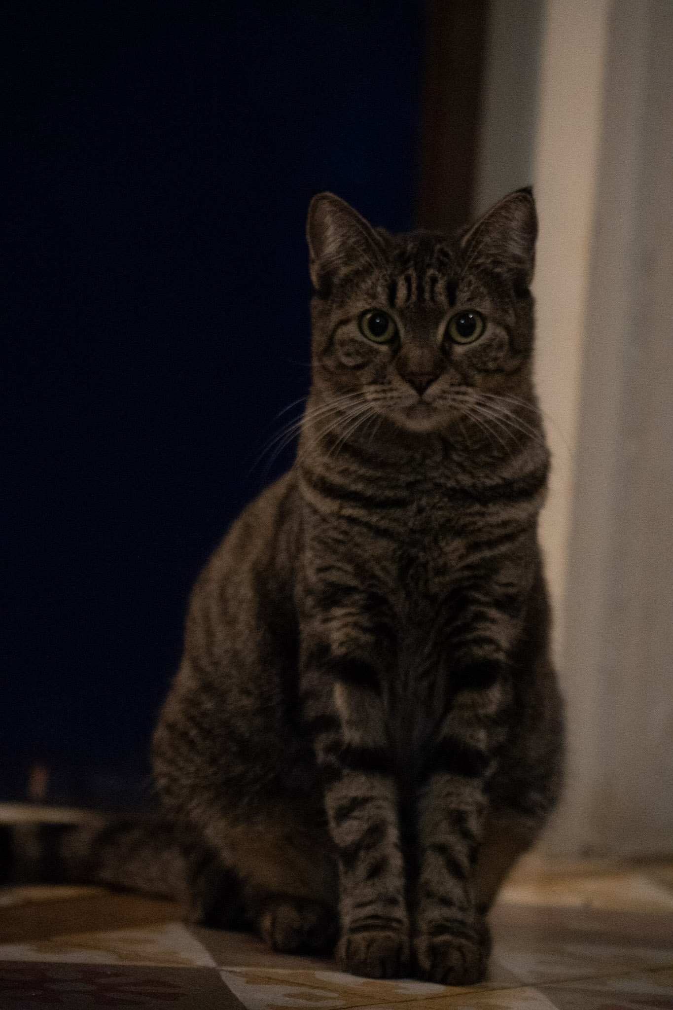 2020-12-28_Santa_Rita - foto 85