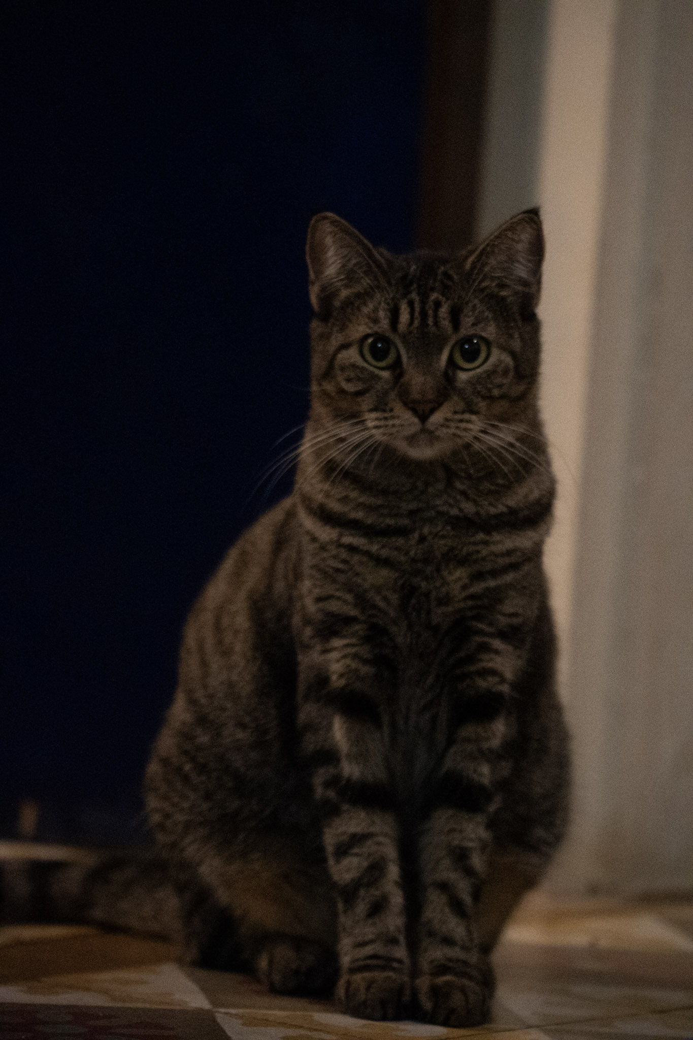 2020-12-28_Santa_Rita - foto 86