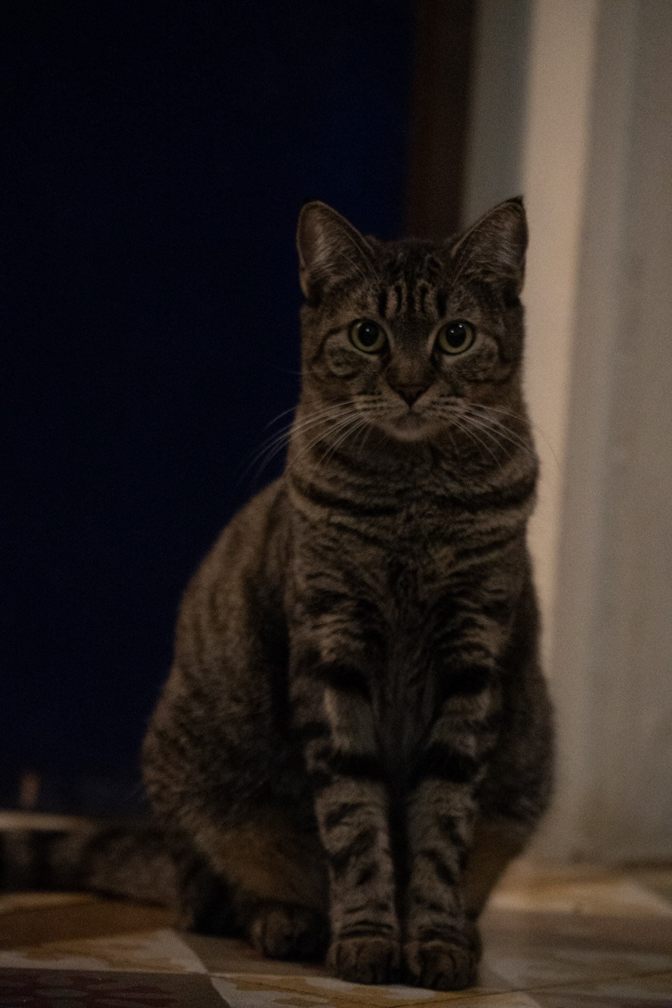 2020-12-28_Santa_Rita - foto 88