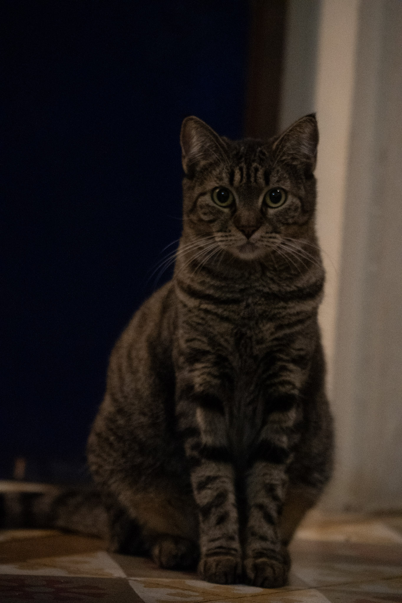 2020-12-28_Santa_Rita - foto 89