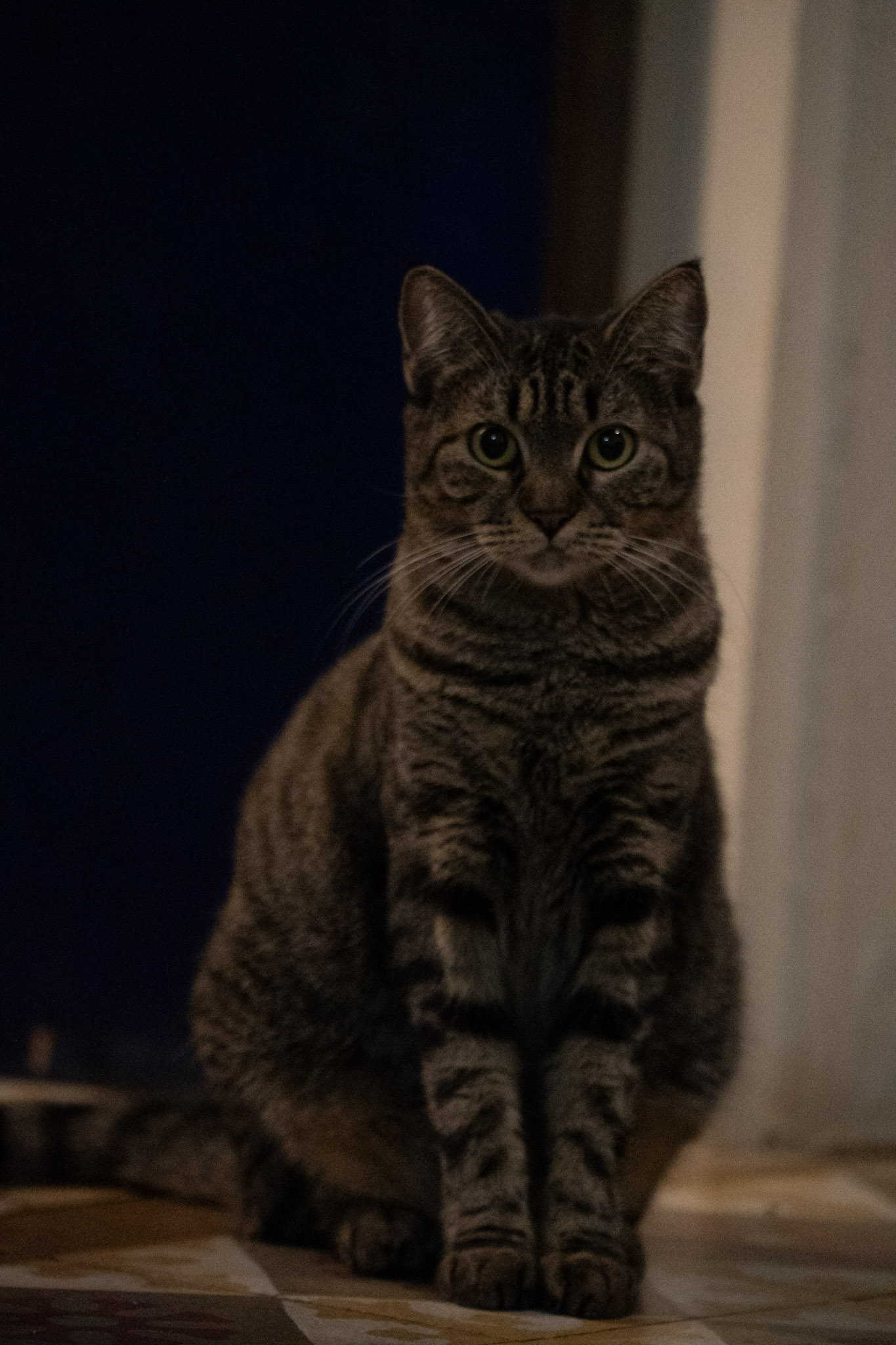 2020-12-28_Santa_Rita - foto 90