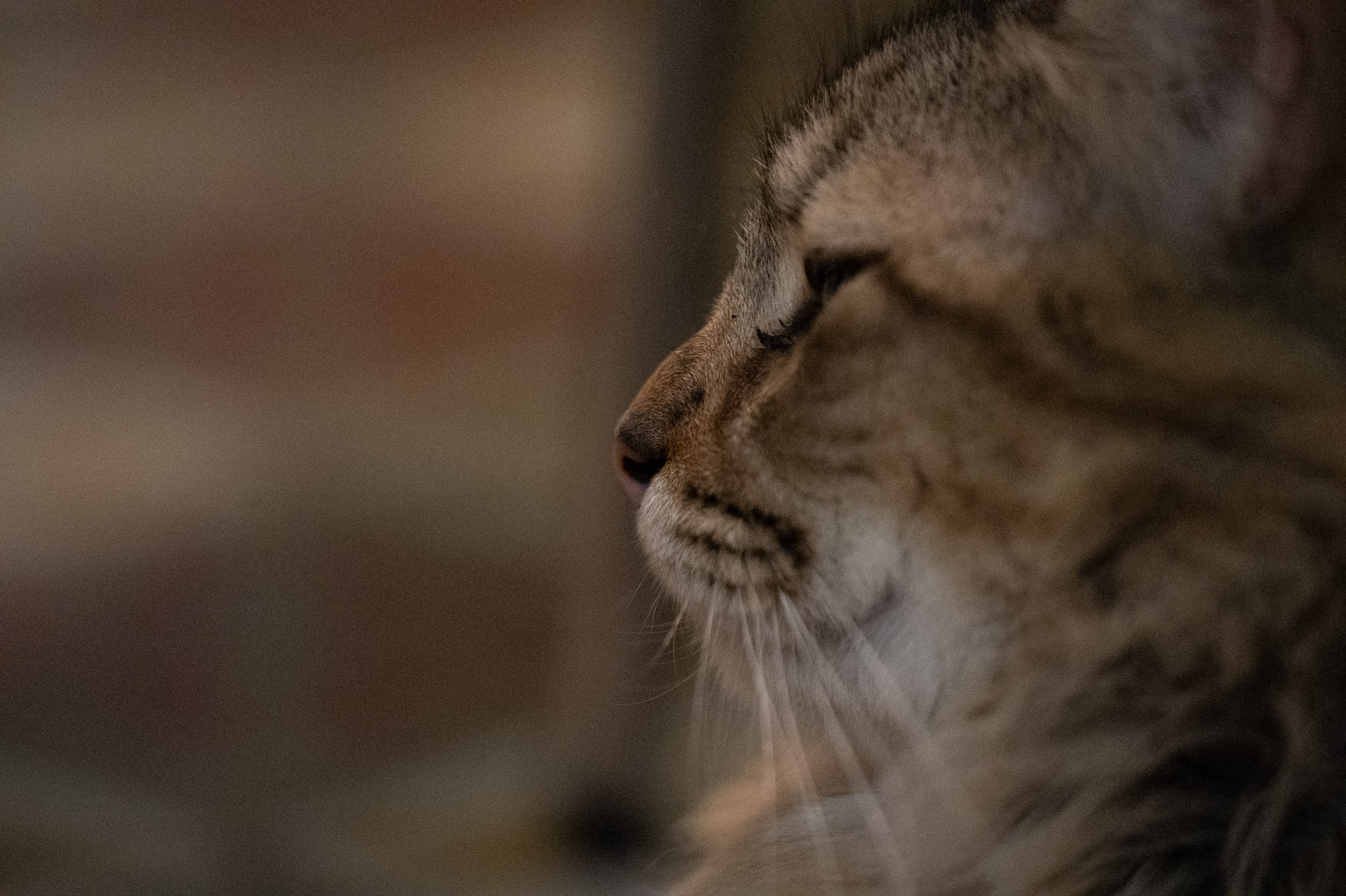 2020-12-28_Santa_Rita - foto 92