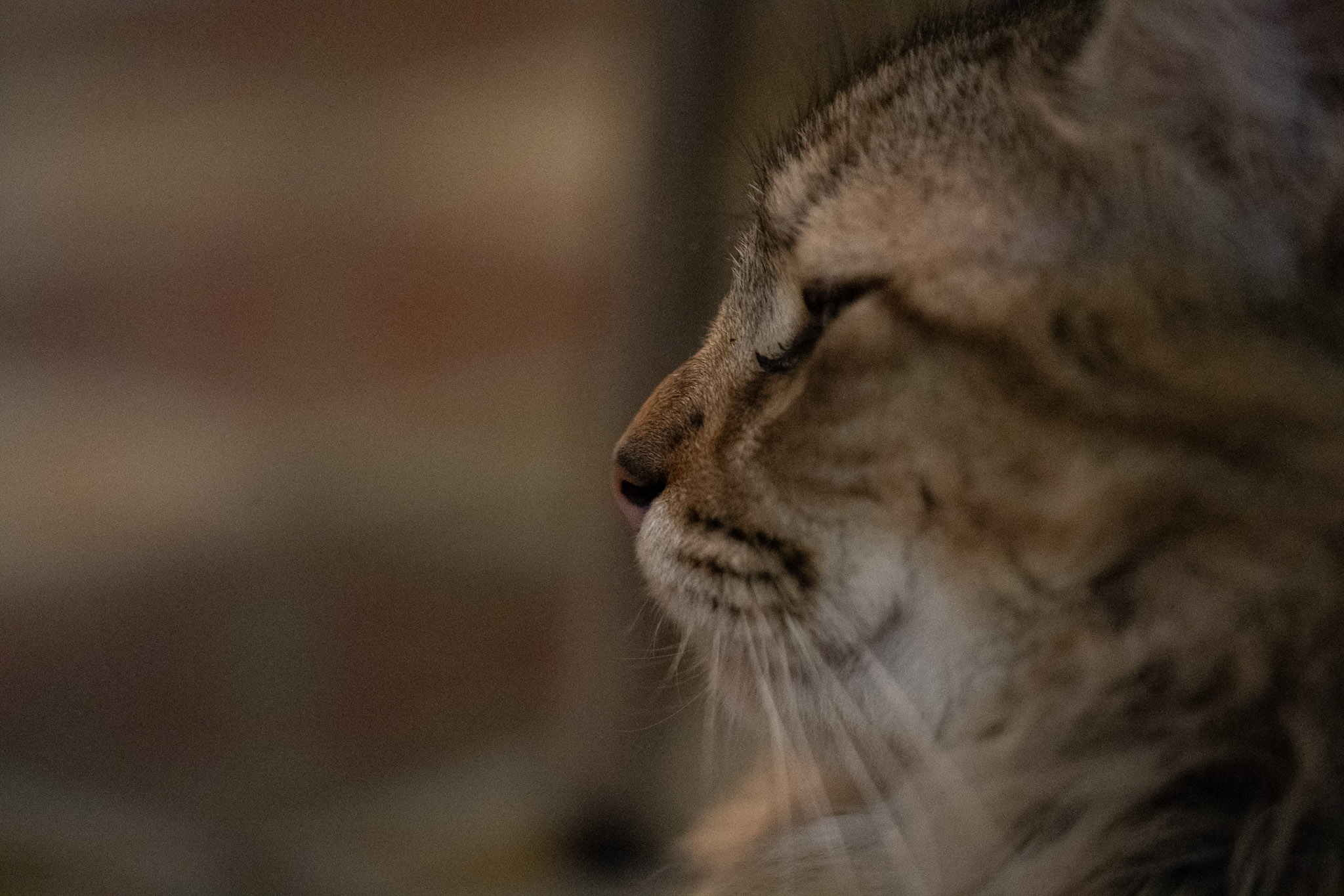 2020-12-28_Santa_Rita - foto 93