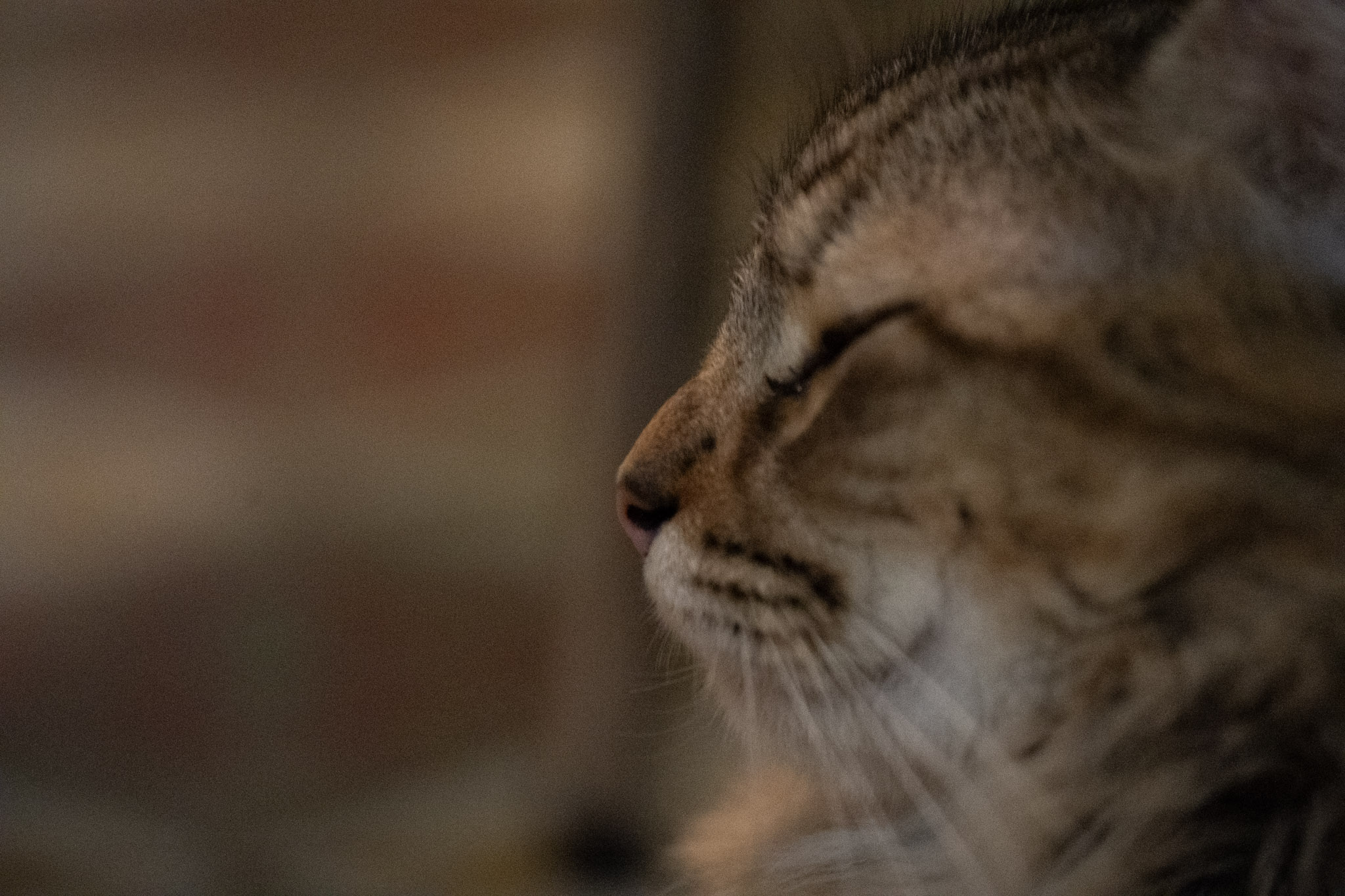 2020-12-28_Santa_Rita - foto 94