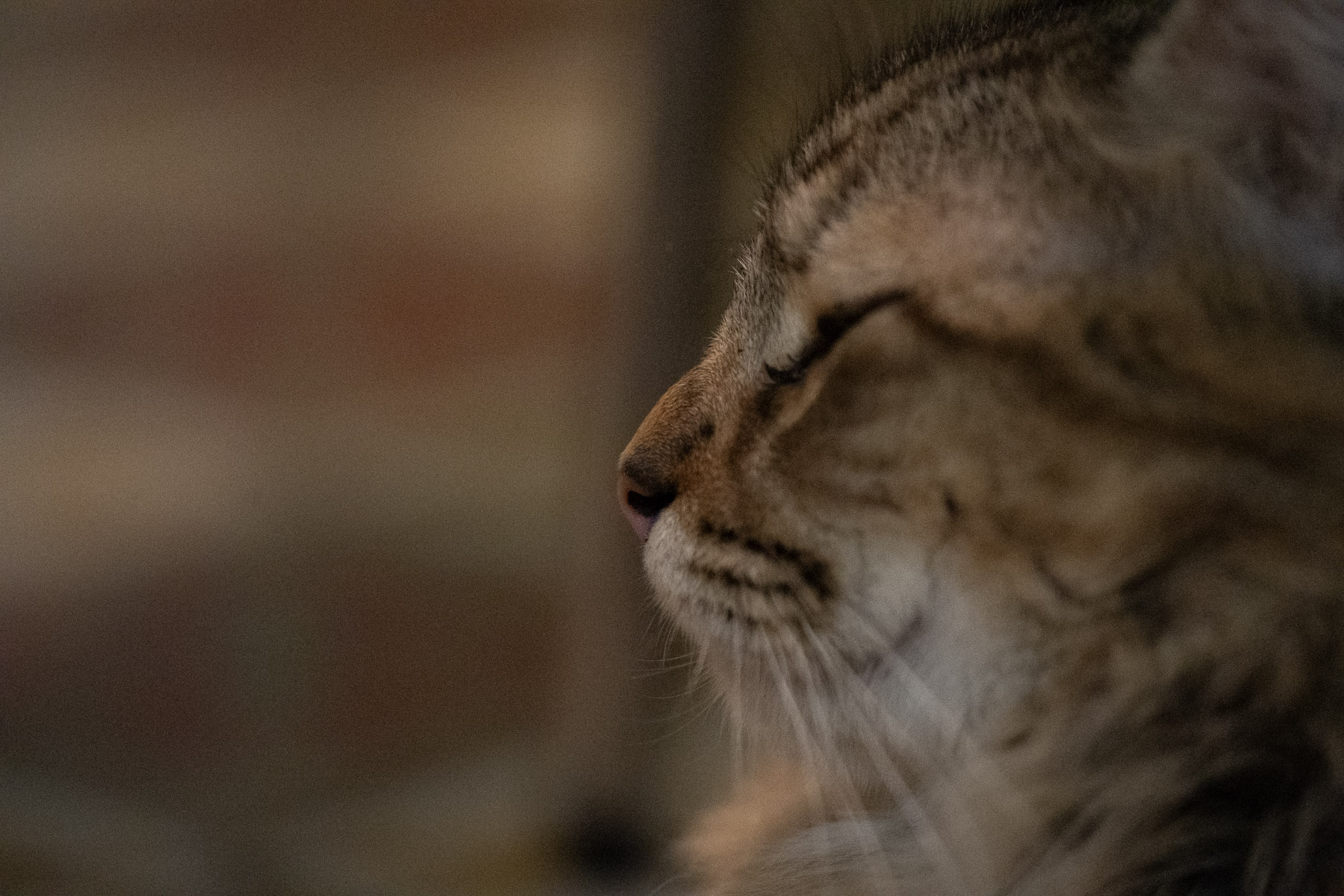 2020-12-28_Santa_Rita - foto 95