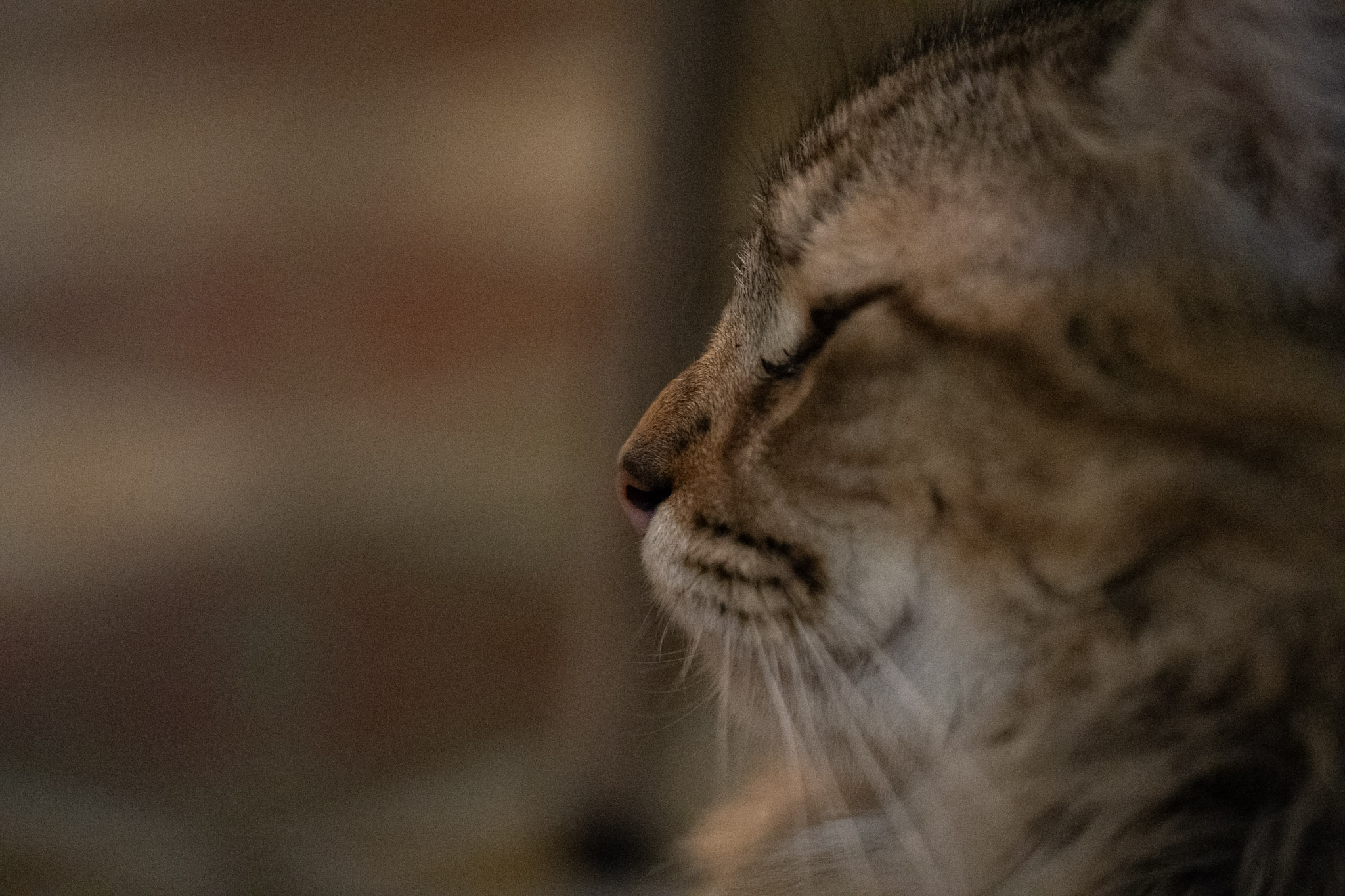 2020-12-28_Santa_Rita - foto 96