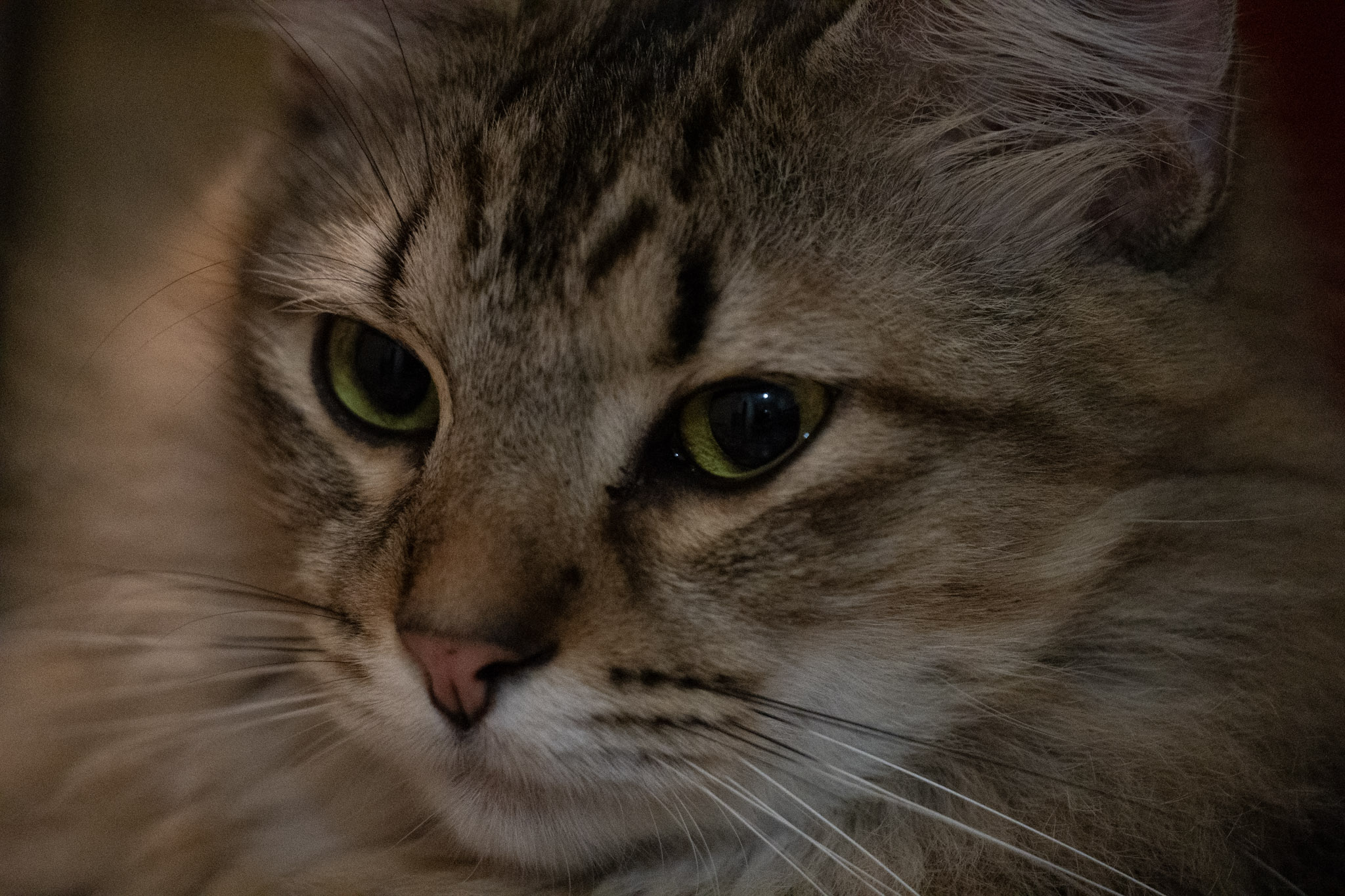 2020-12-28_Santa_Rita - foto 98