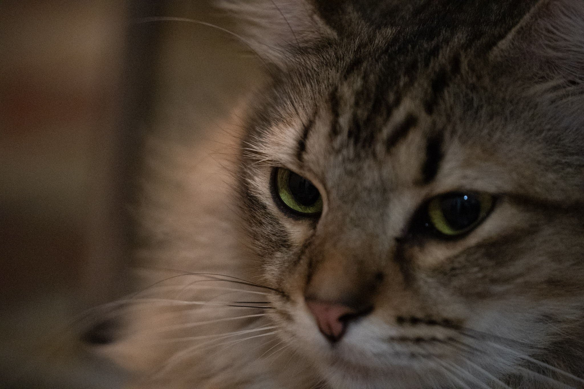 2020-12-28_Santa_Rita - foto 99