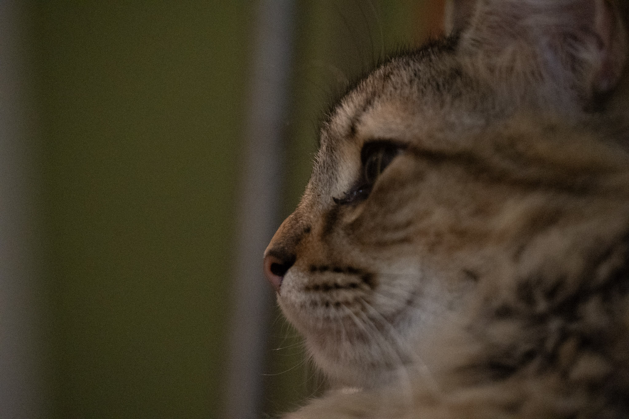 2020-12-28_Santa_Rita - foto 102