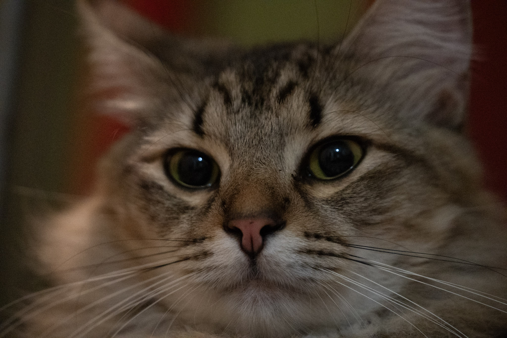 2020-12-28_Santa_Rita - foto 108