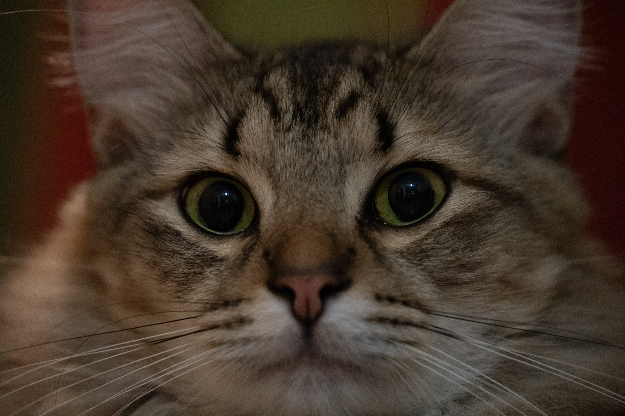 2020-12-28_Santa_Rita - foto 115