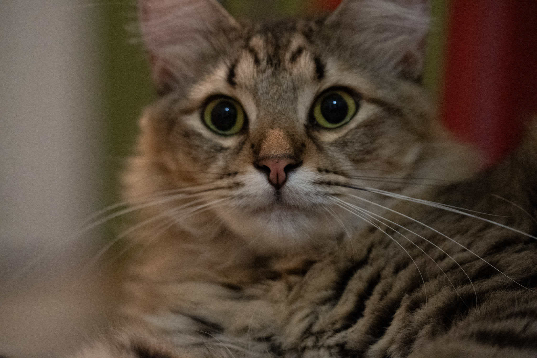 2020-12-28_Santa_Rita - foto 128