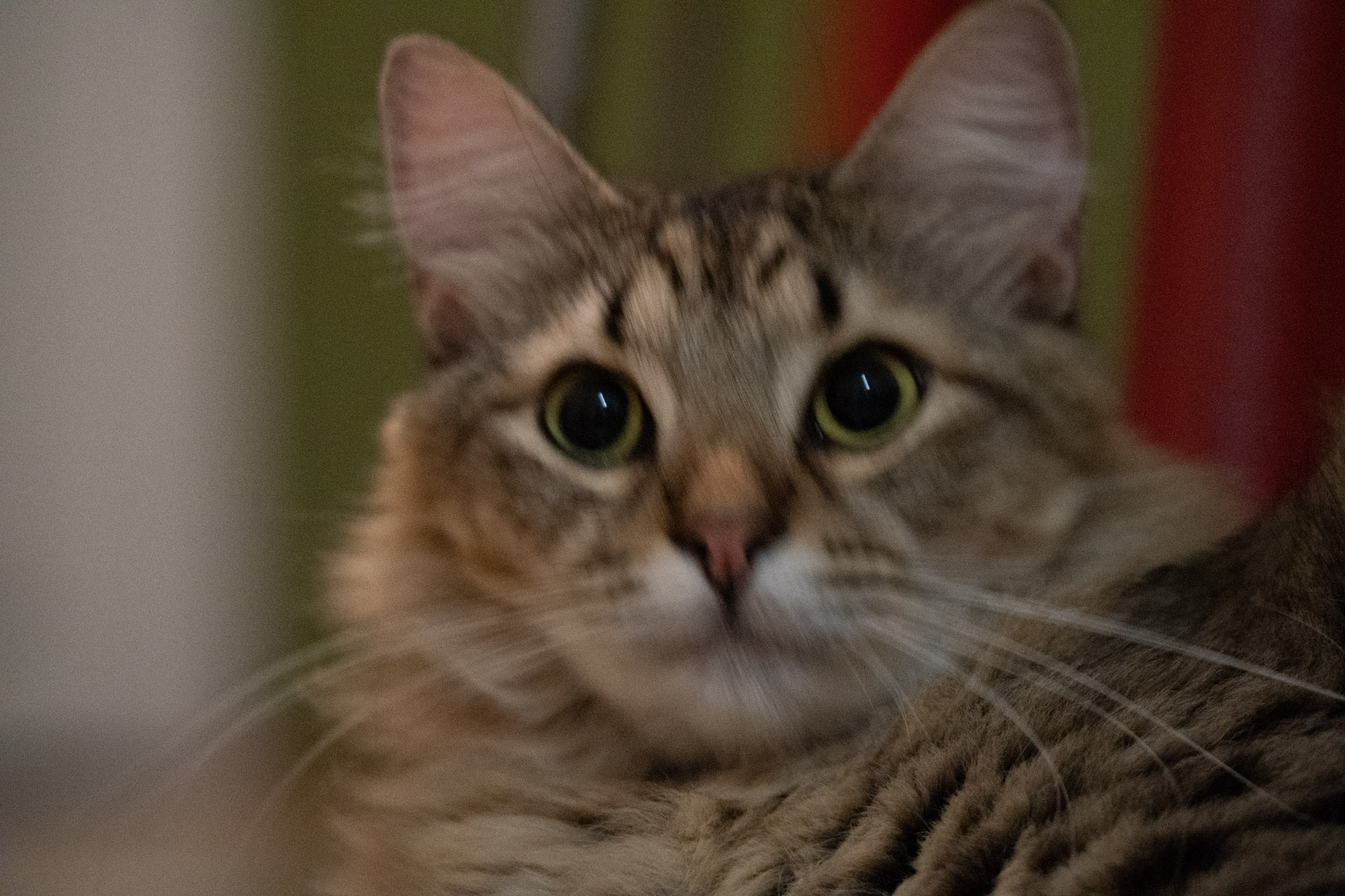 2020-12-28_Santa_Rita - foto 130