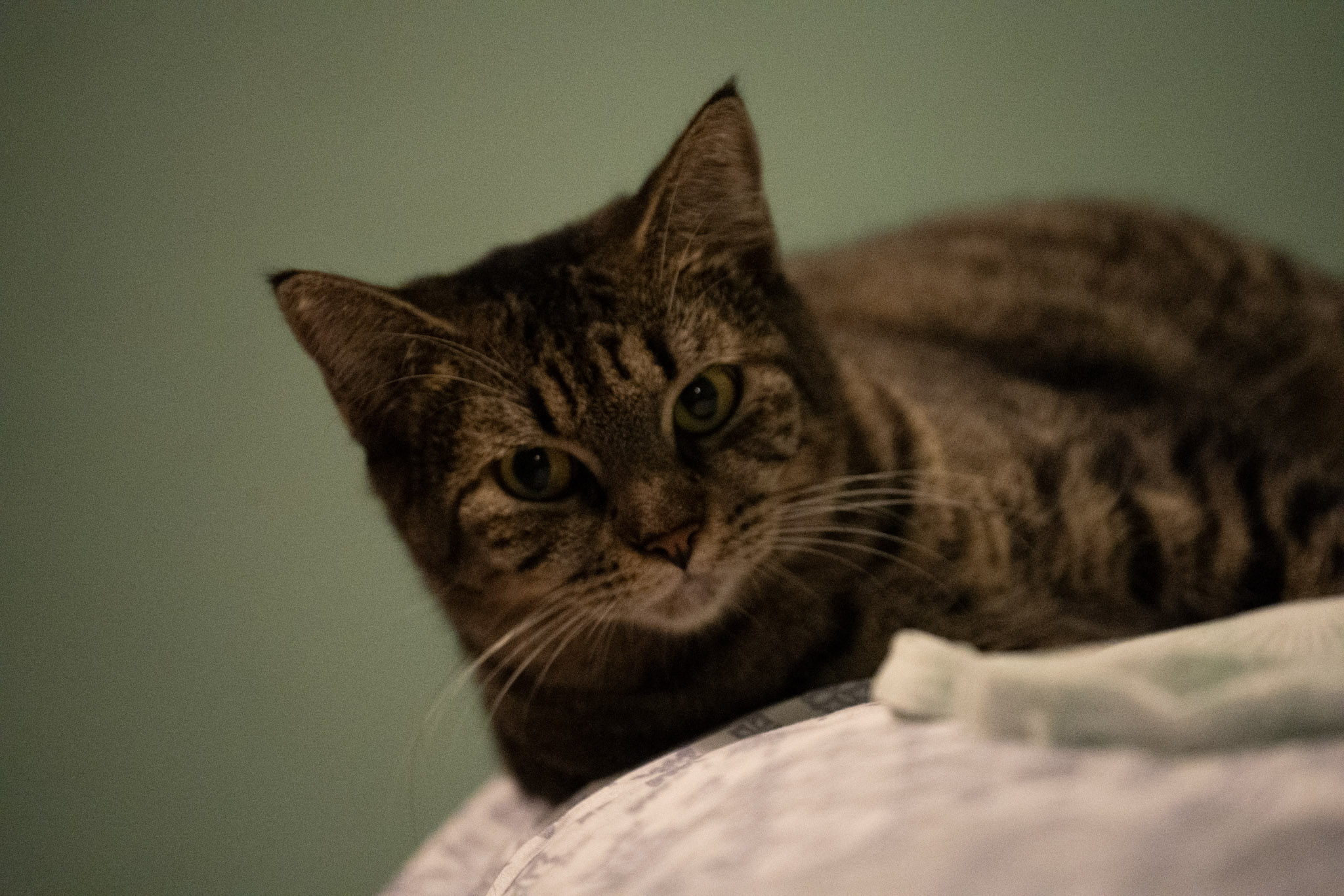 2020-12-28_Santa_Rita - foto 133