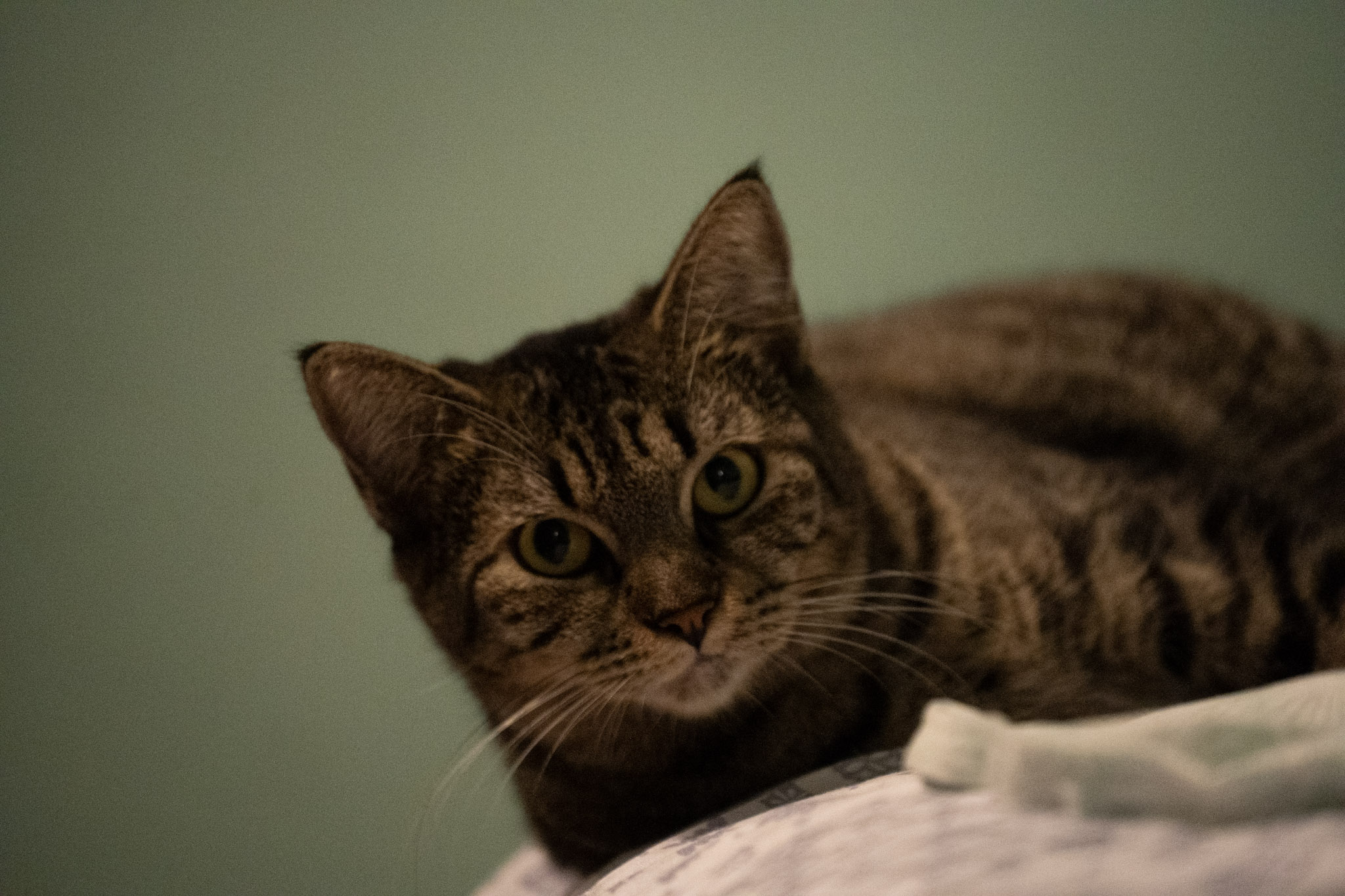 2020-12-28_Santa_Rita - foto 135