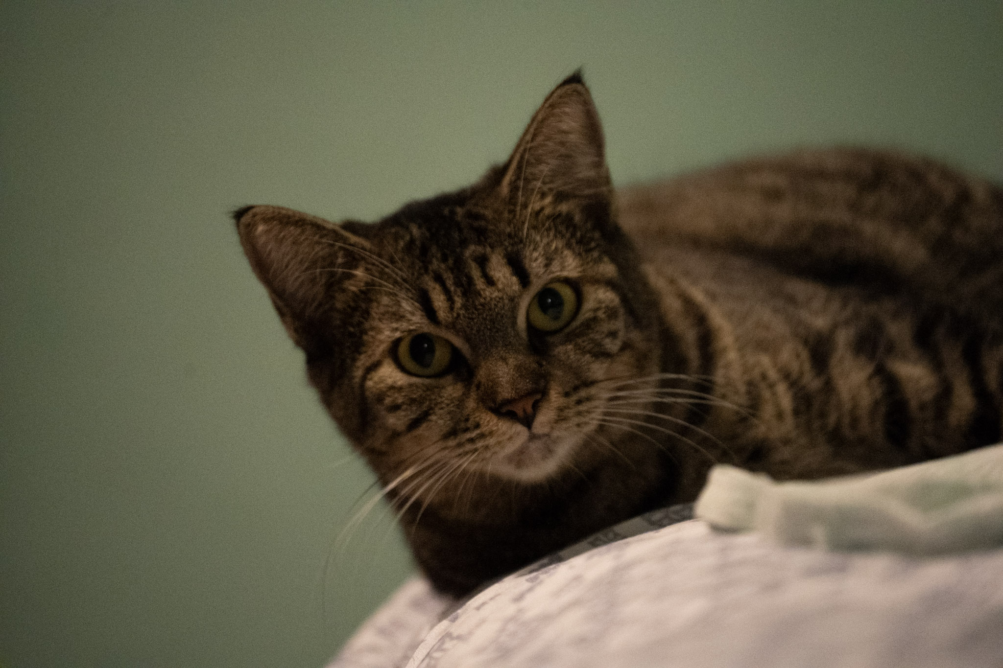 2020-12-28_Santa_Rita - foto 136