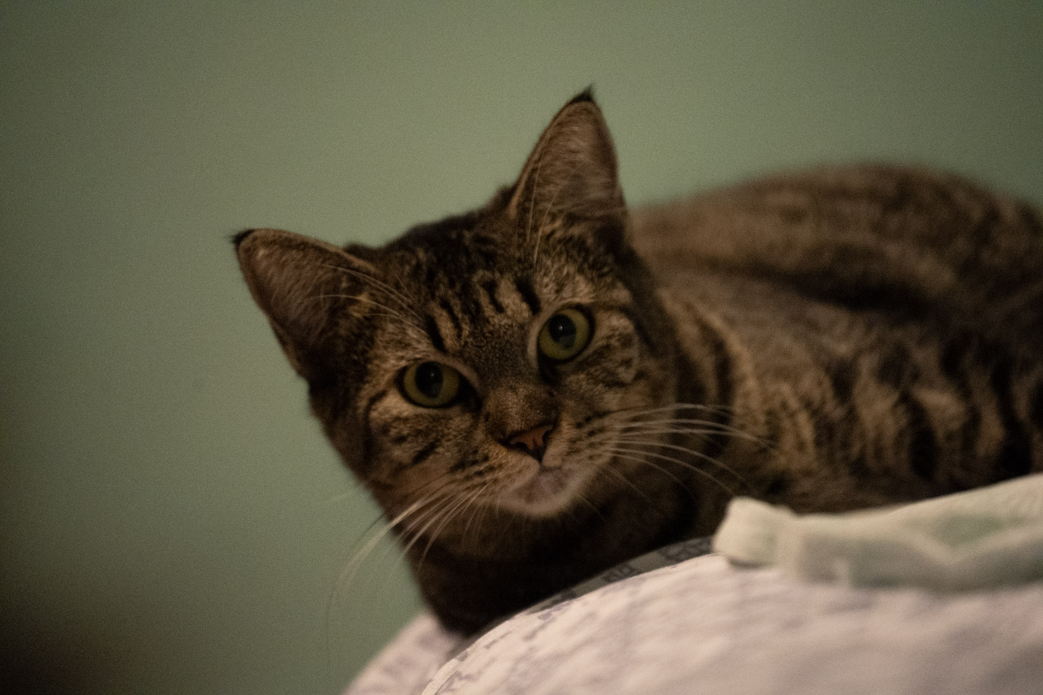 2020-12-28_Santa_Rita - foto 137