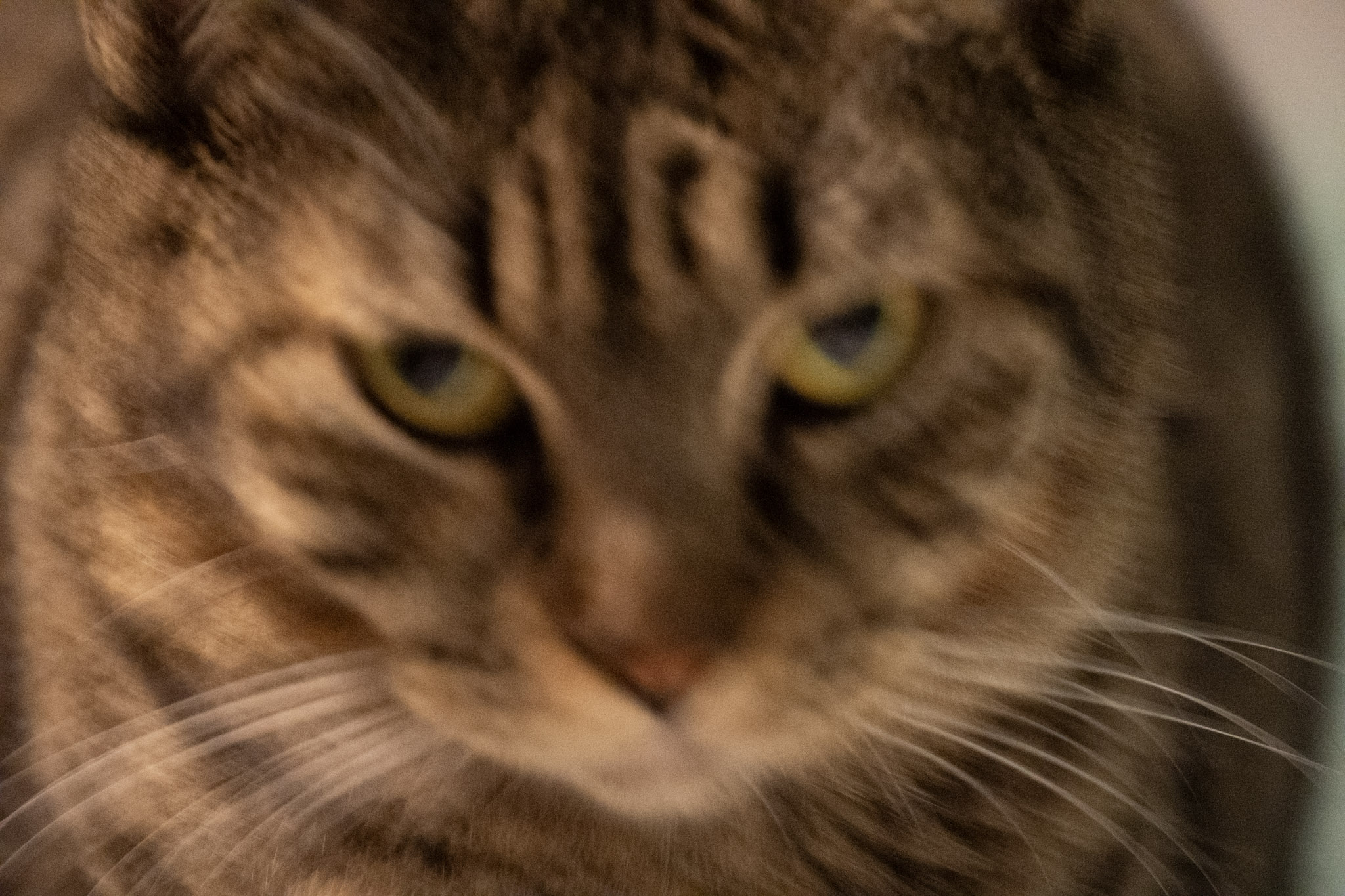 2020-12-28_Santa_Rita - foto 138