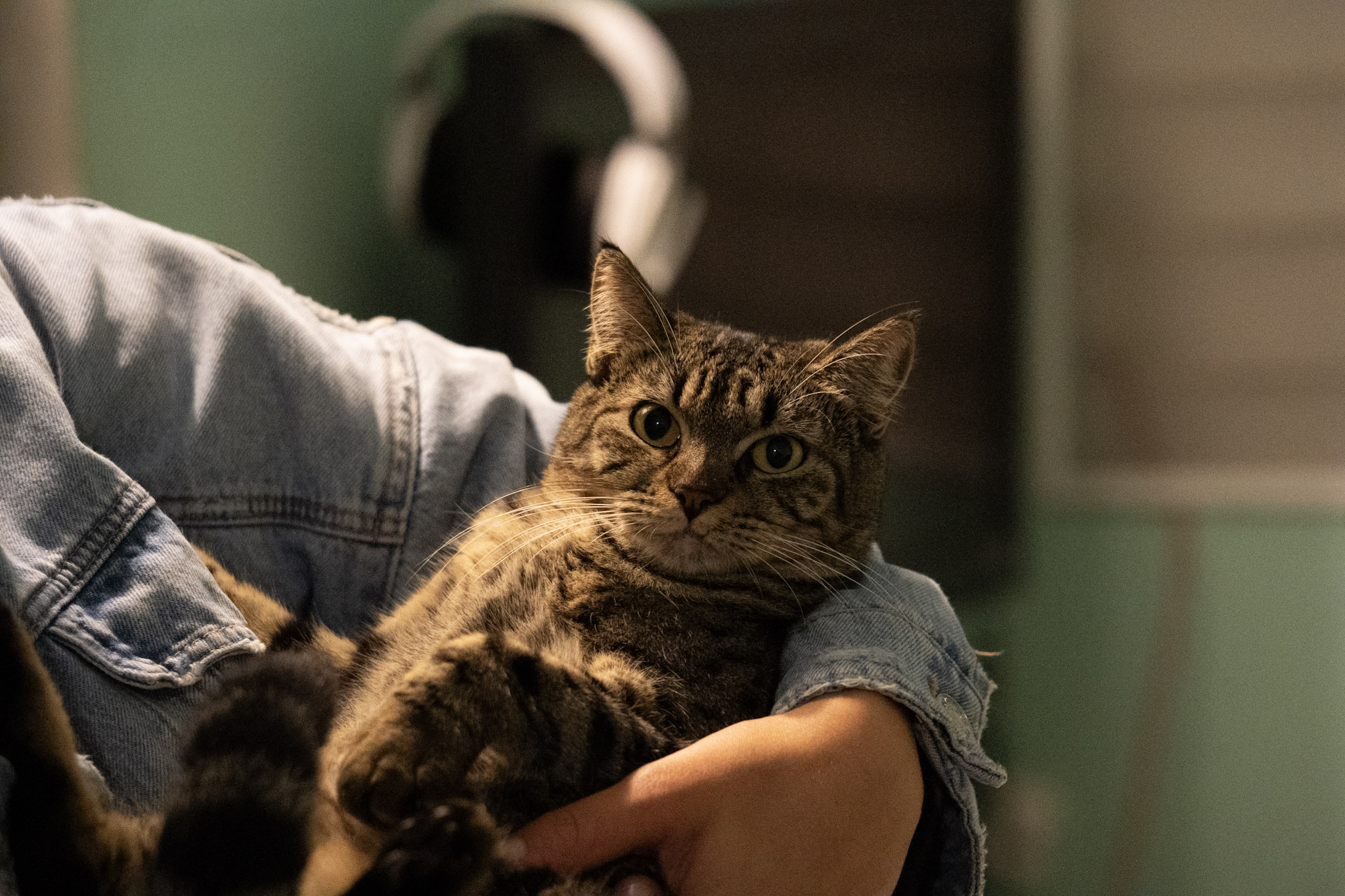 2020-12-28_Santa_Rita - foto 139