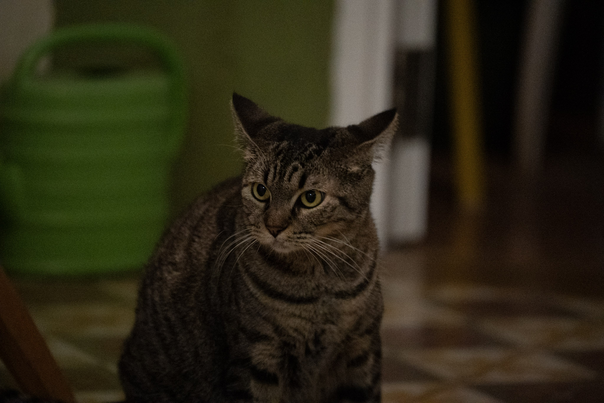 2020-12-28_Santa_Rita - foto 157