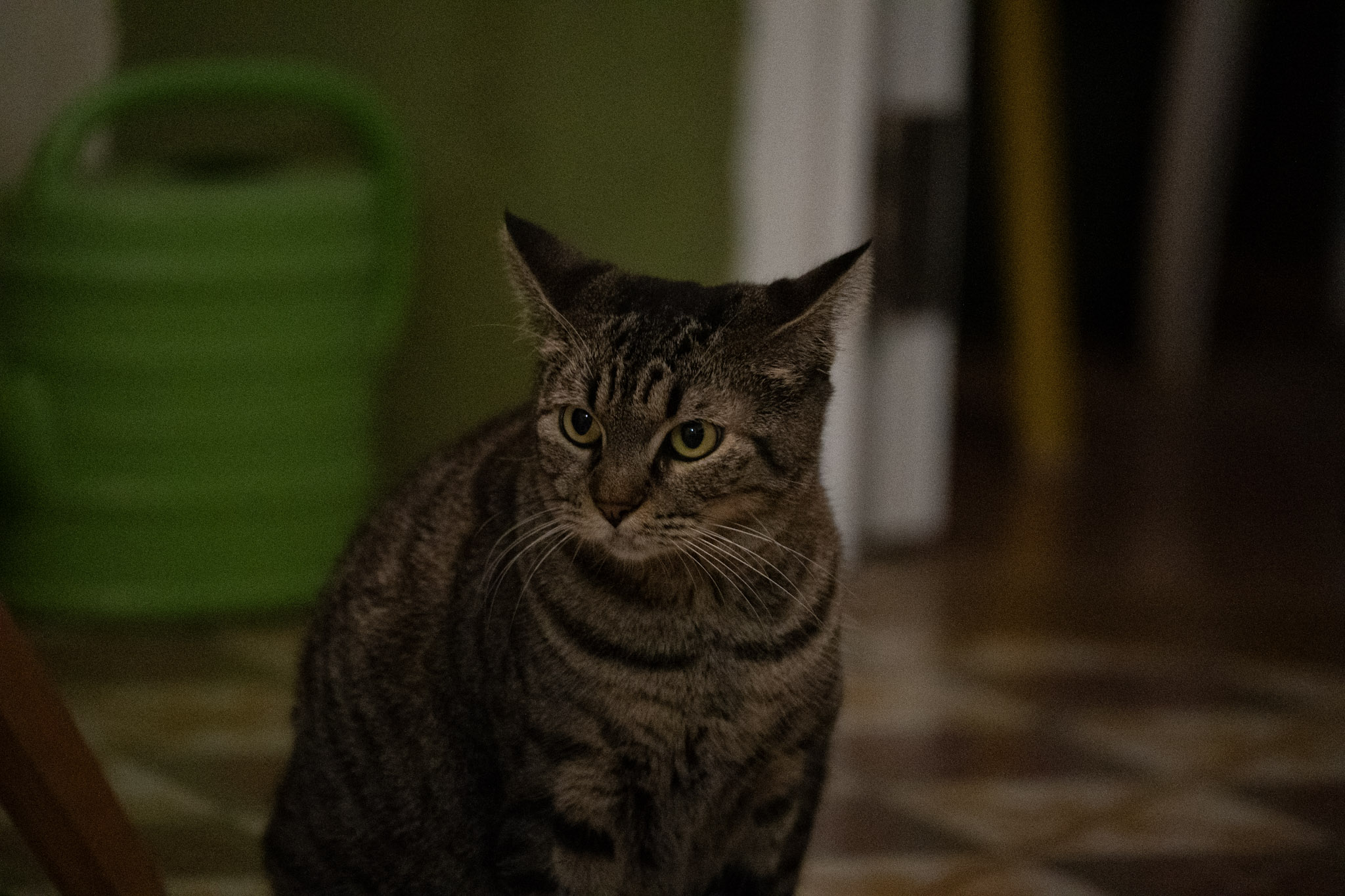 2020-12-28_Santa_Rita - foto 158