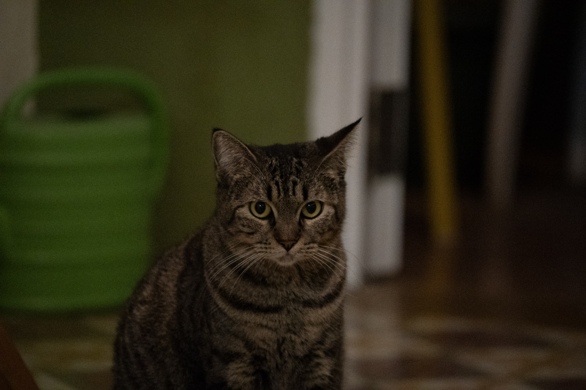 2020-12-28_Santa_Rita - foto 159