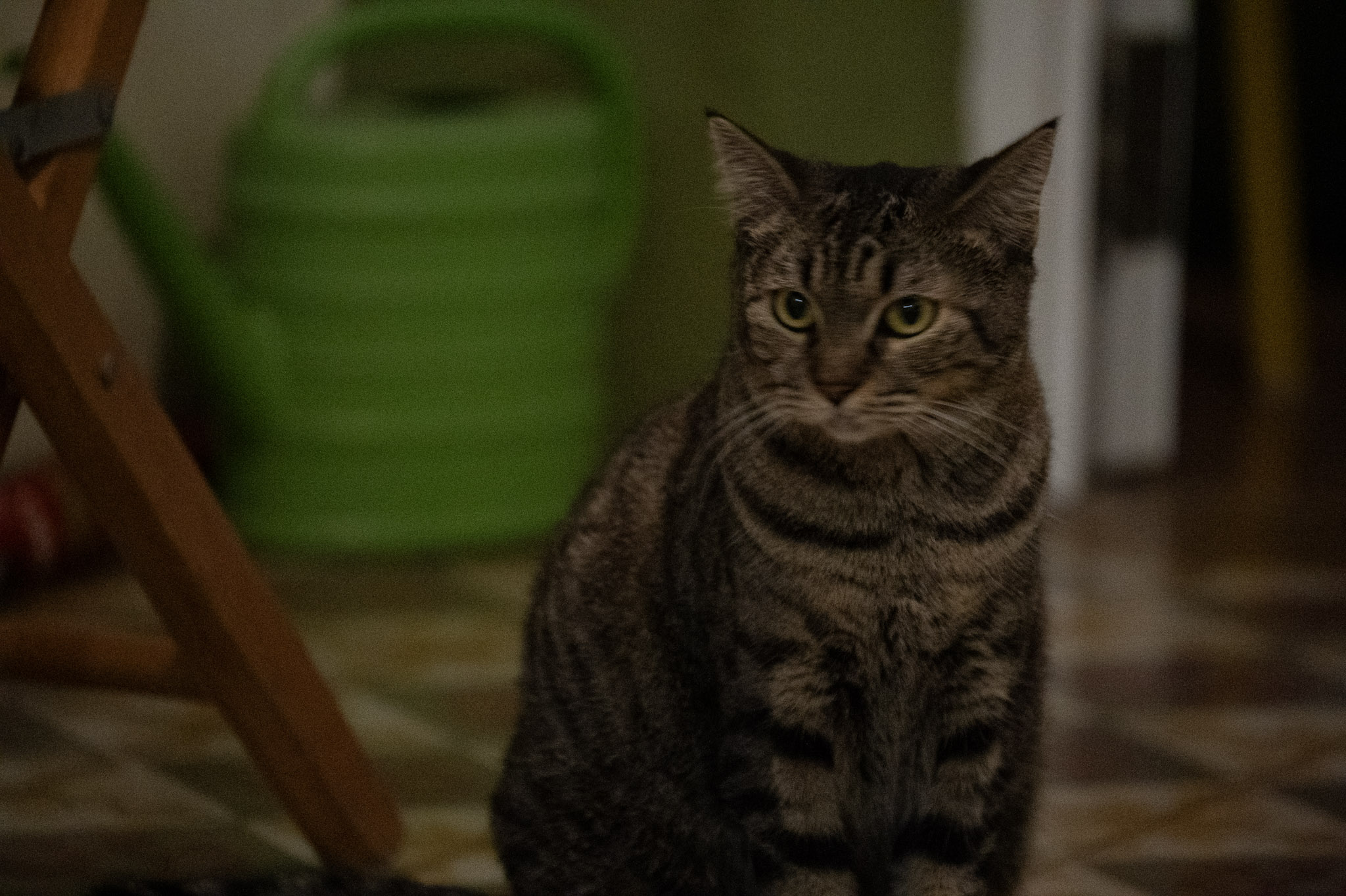 2020-12-28_Santa_Rita - foto 160