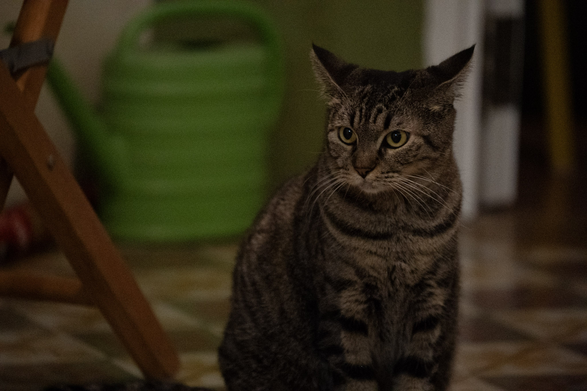 2020-12-28_Santa_Rita - foto 161