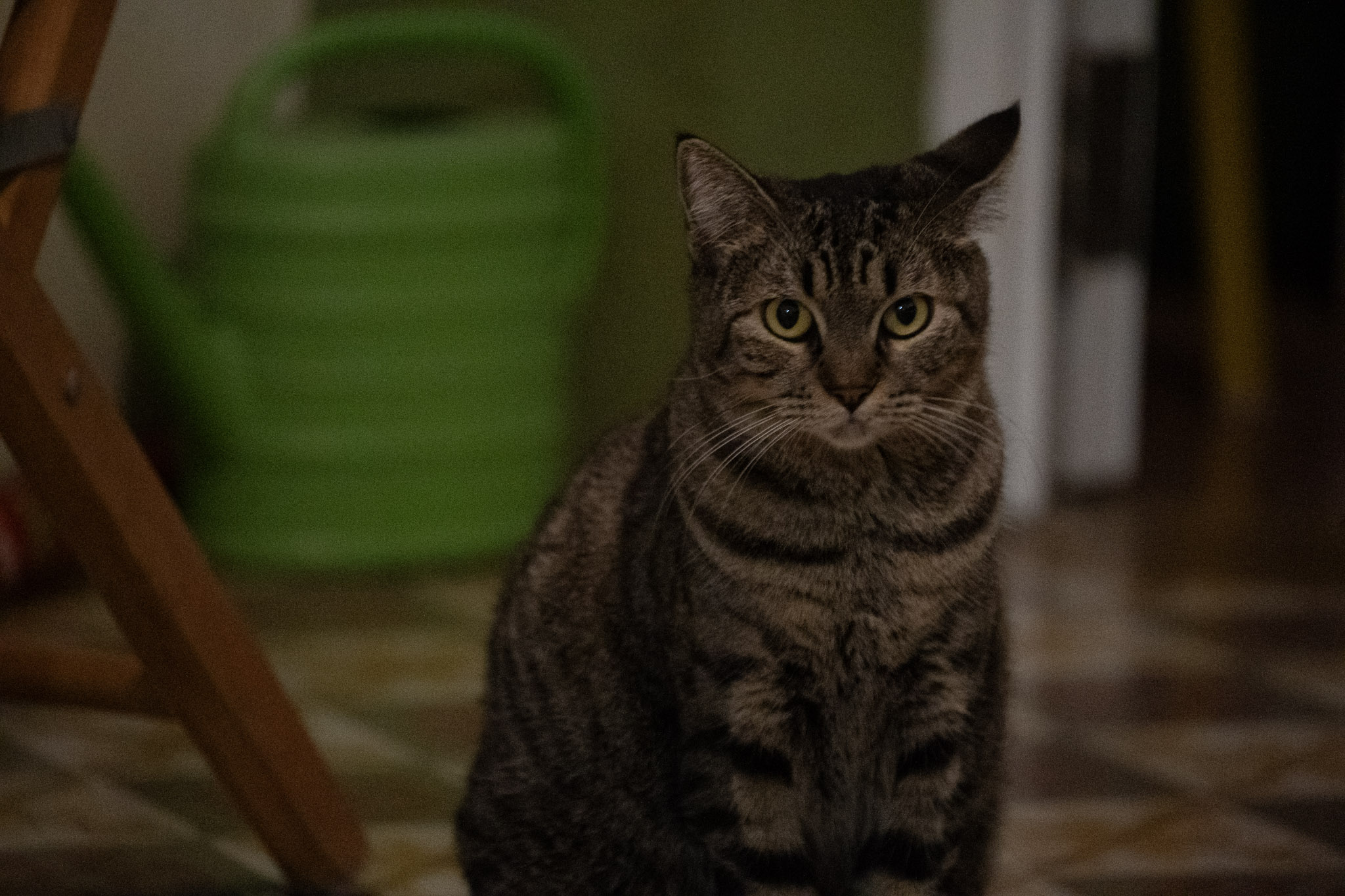 2020-12-28_Santa_Rita - foto 162