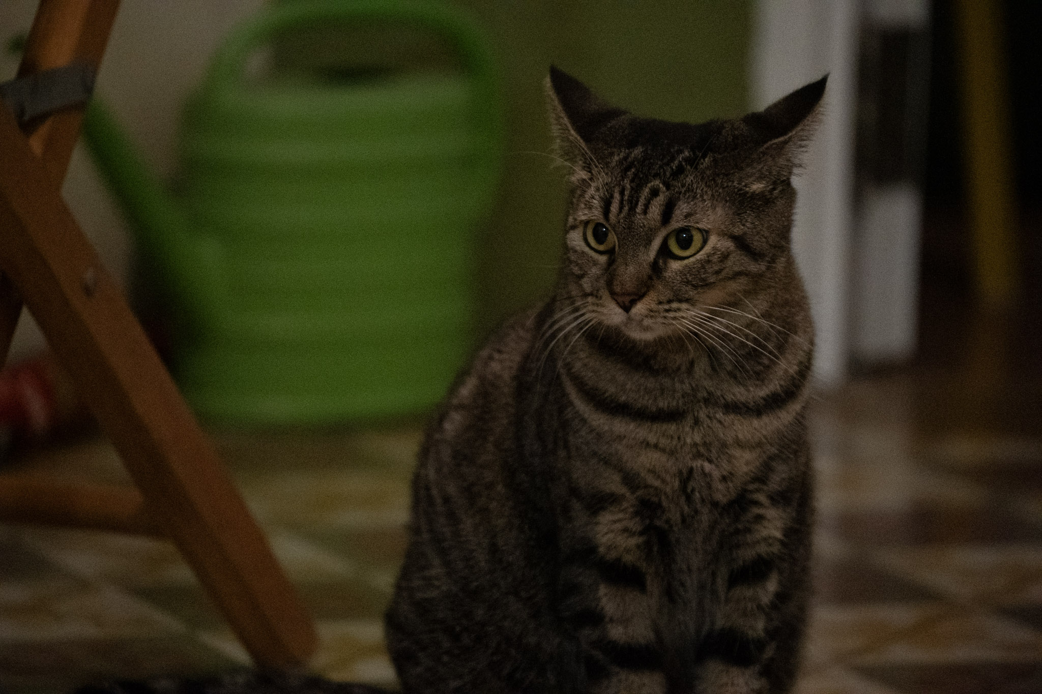 2020-12-28_Santa_Rita - foto 163