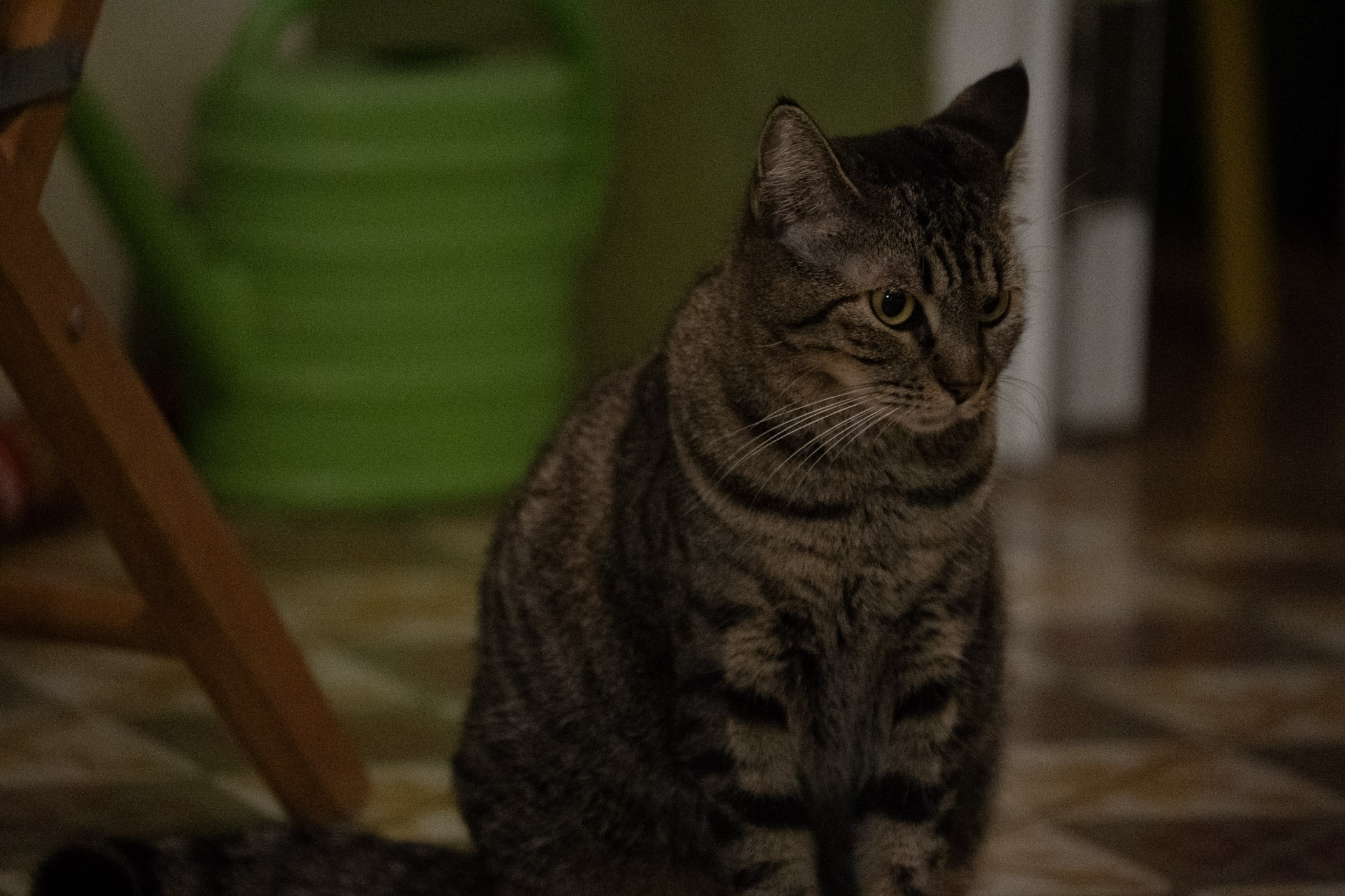 2020-12-28_Santa_Rita - foto 164