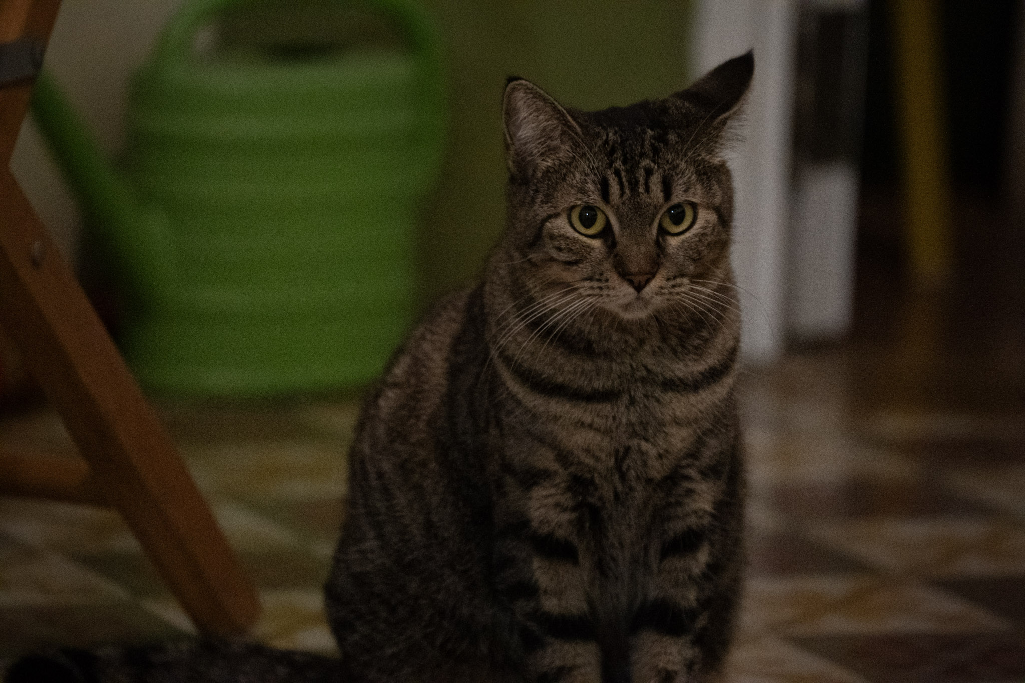 2020-12-28_Santa_Rita - foto 165